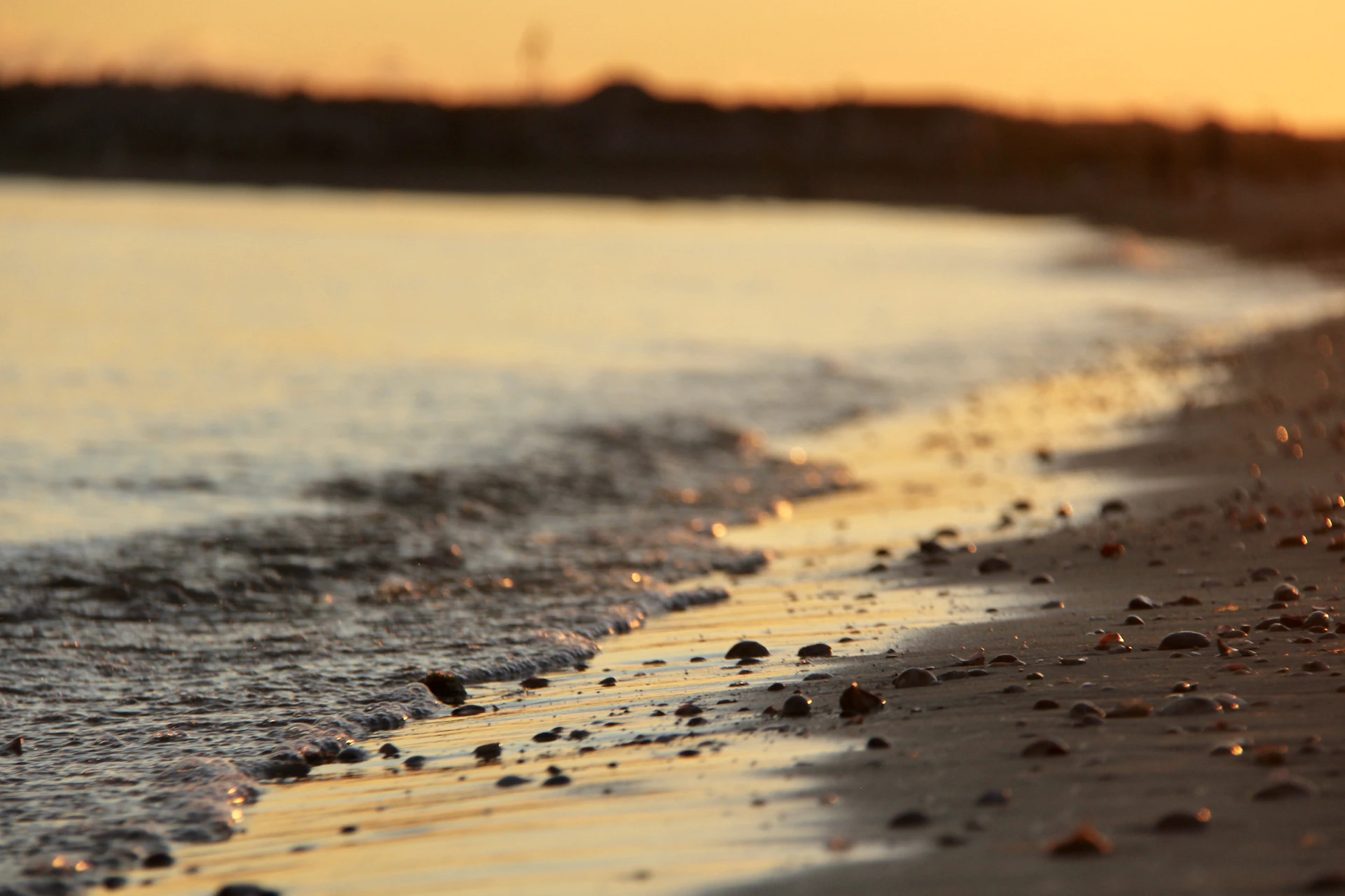 a close up of a beach with water and sand