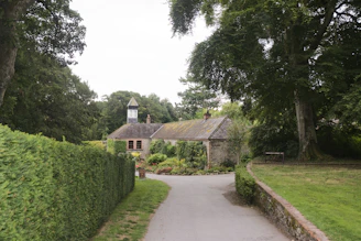 Stone walkway winding through a lush garden beside a cozy cottage.