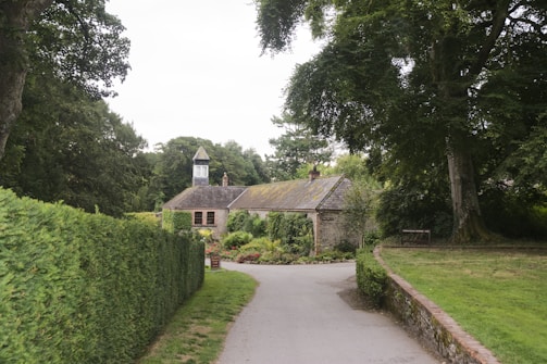 Exterior view of a quaint cottage surrounded by tall trees and a stone path.