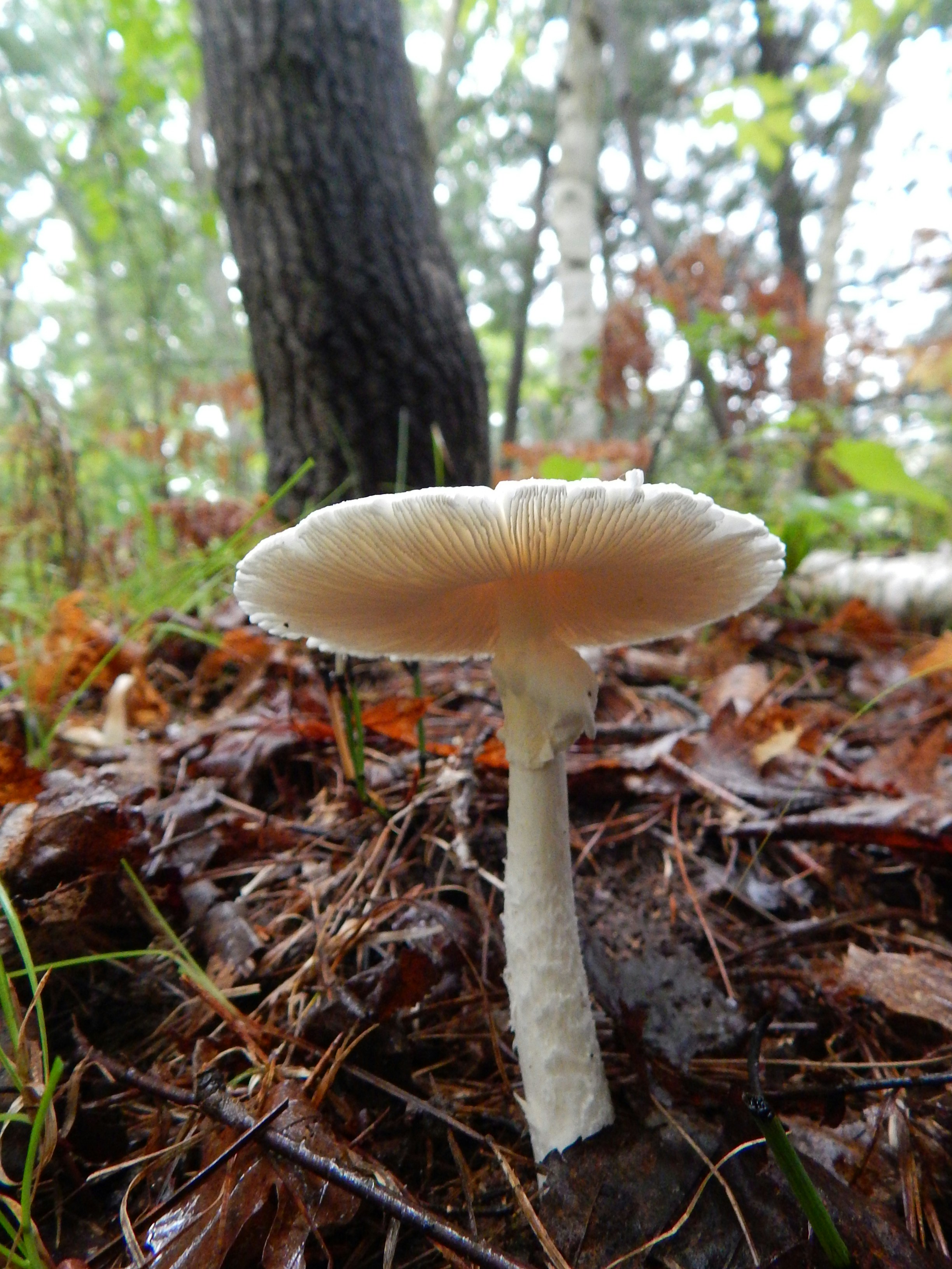 Photo by scarlettweiss