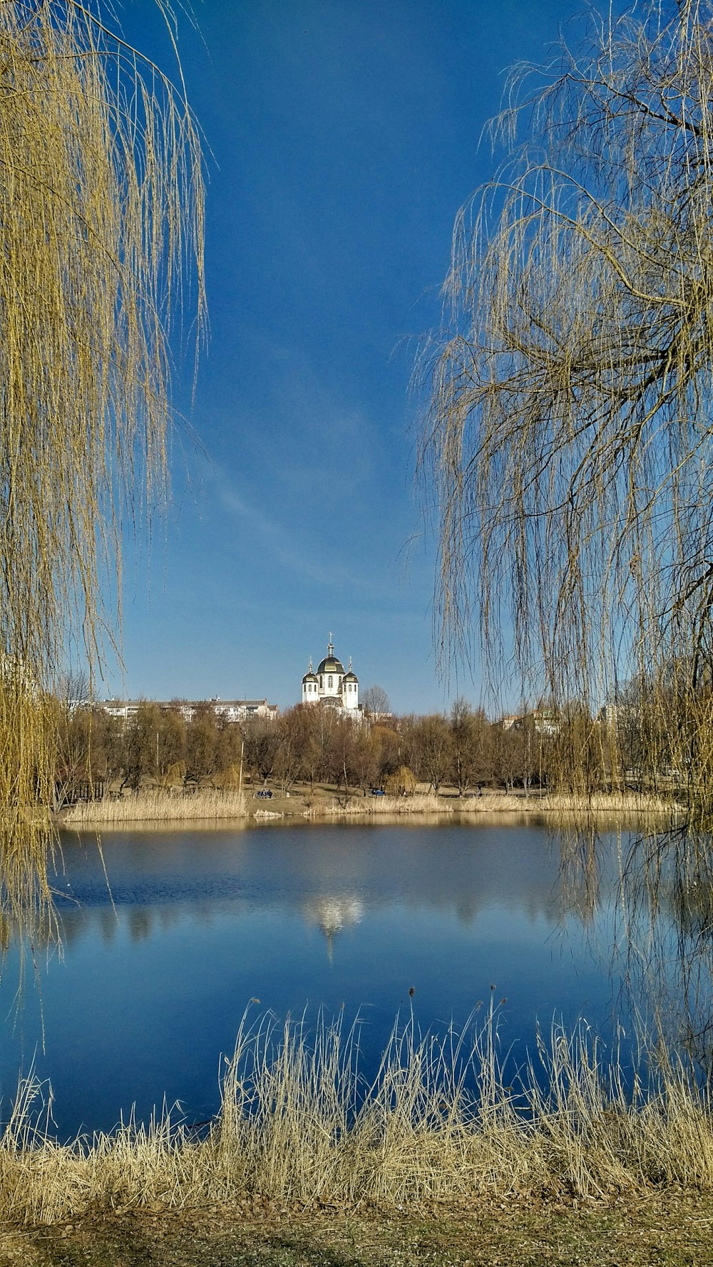 a large body of water surrounded by trees