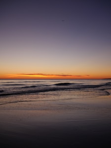 Photo 1648135431126 8248c138a1c9?q=85&w=400&h=300&fit=crop