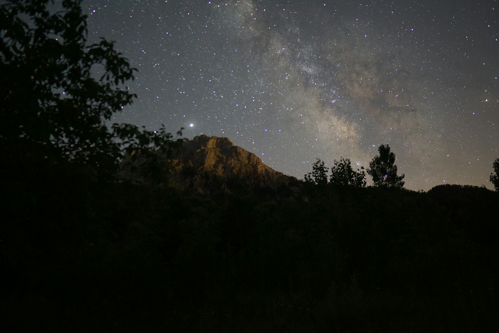 the night sky is filled with stars and trees