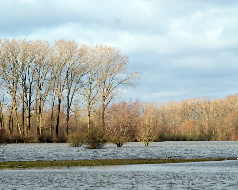 Aerial view of green drainage