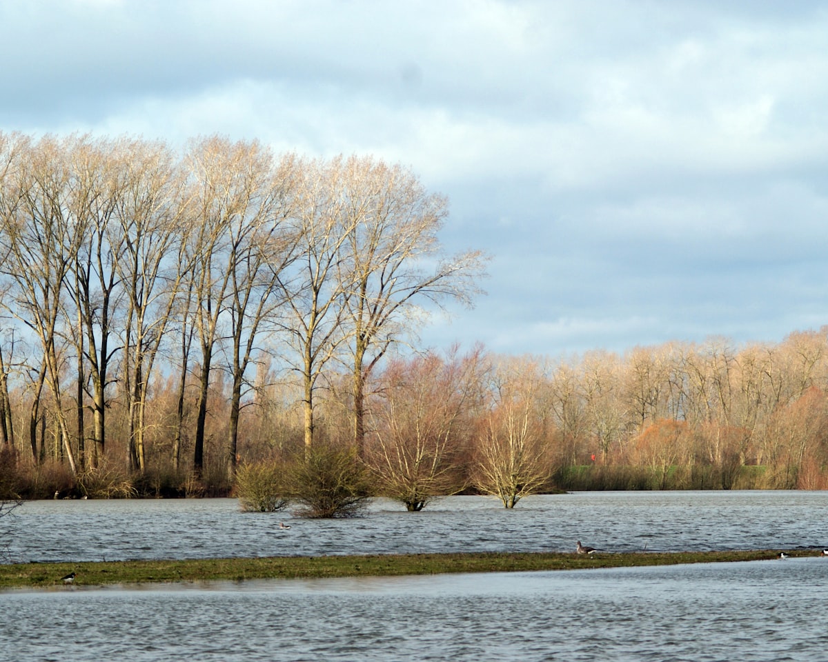 A UK floodplain with water spread across grassland and partly submerged bare winter trees