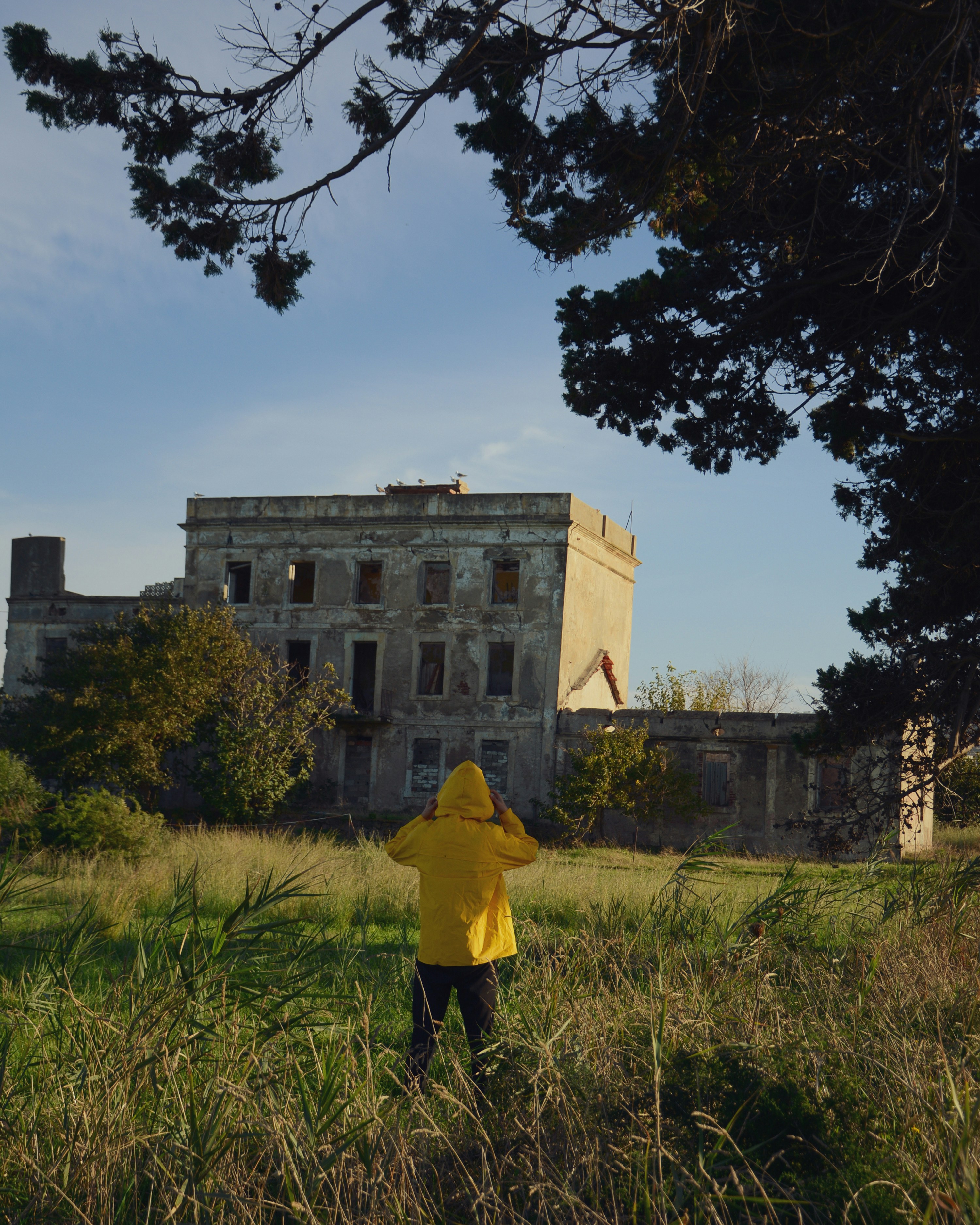 A person in a yellow jacket standing in a field photo – Free Jijel ...