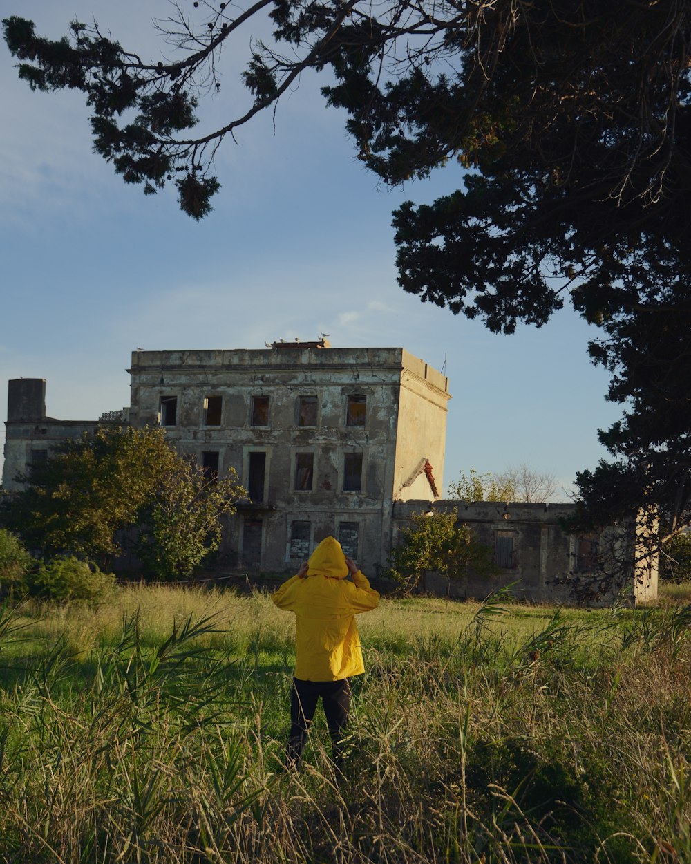 a person in a yellow jacket standing in a field