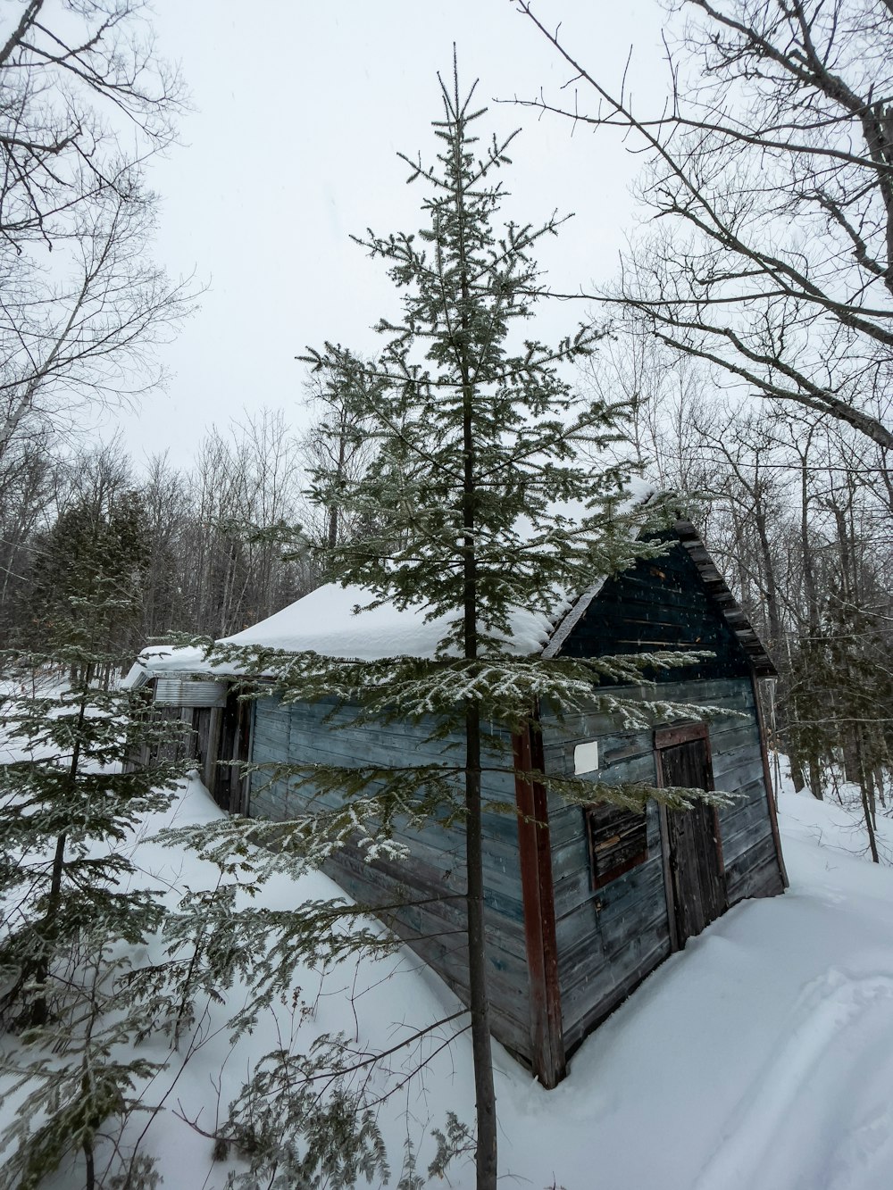 a small cabin in the middle of a snowy forest