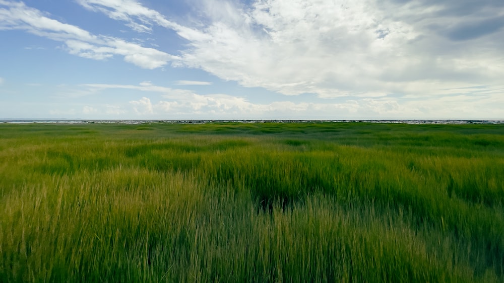 a field of green grass under a cloudy blue sky