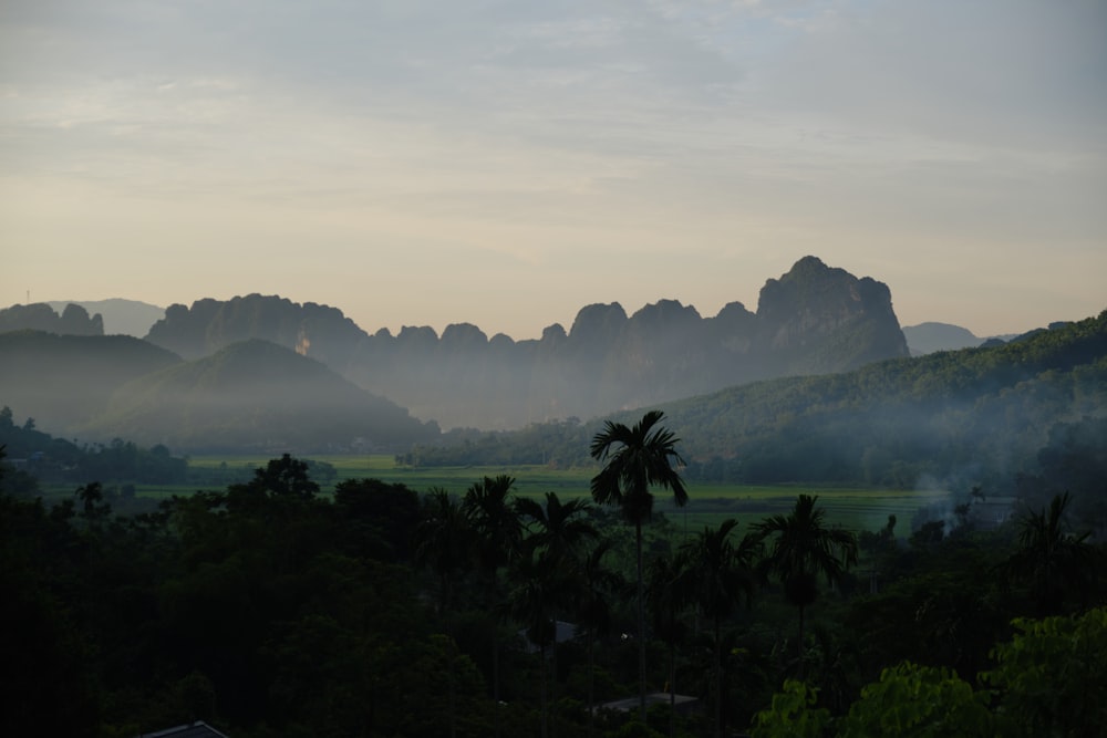 a view of a mountain range with trees in the foreground