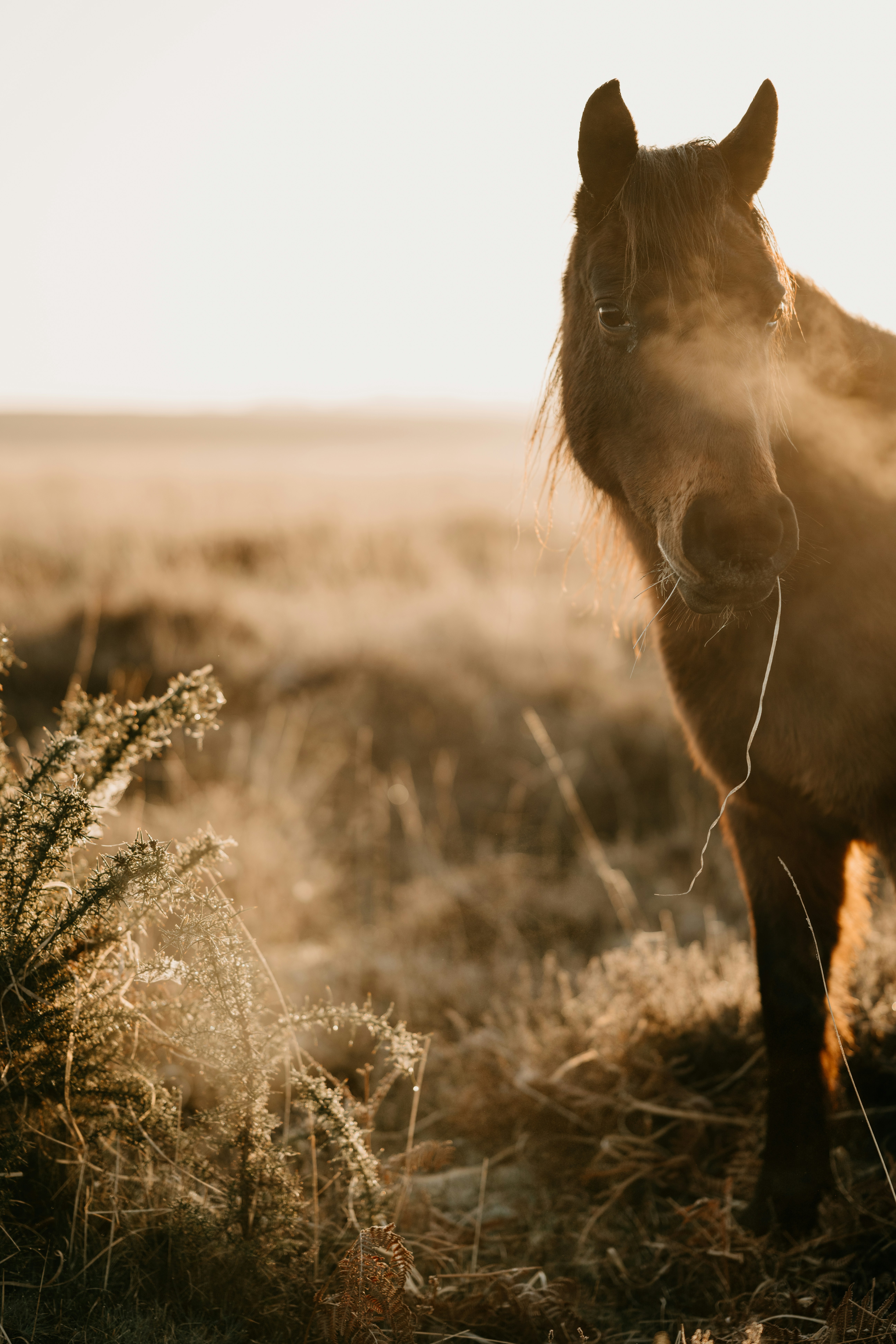 Photo by anniespratt