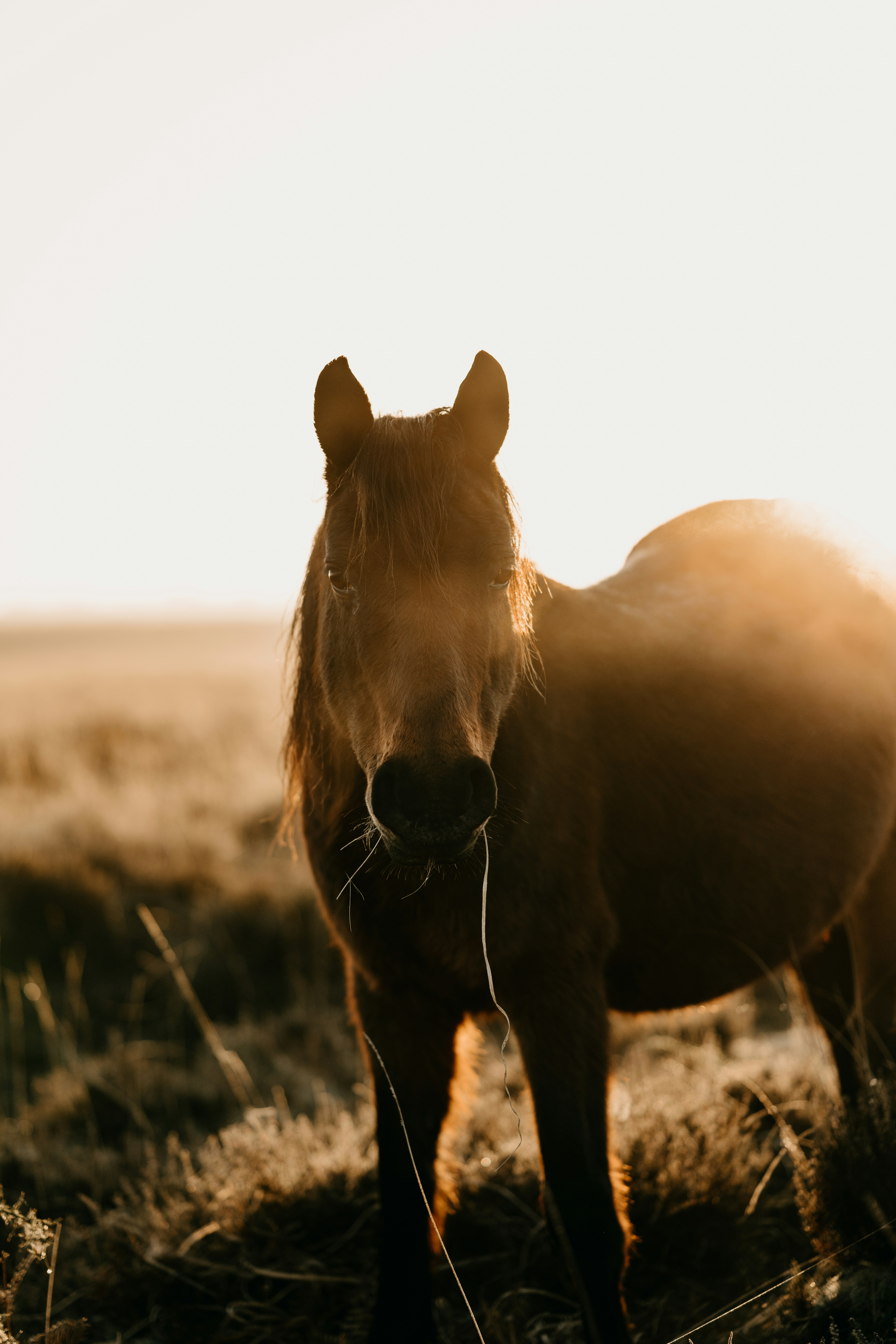 Photo by anniespratt