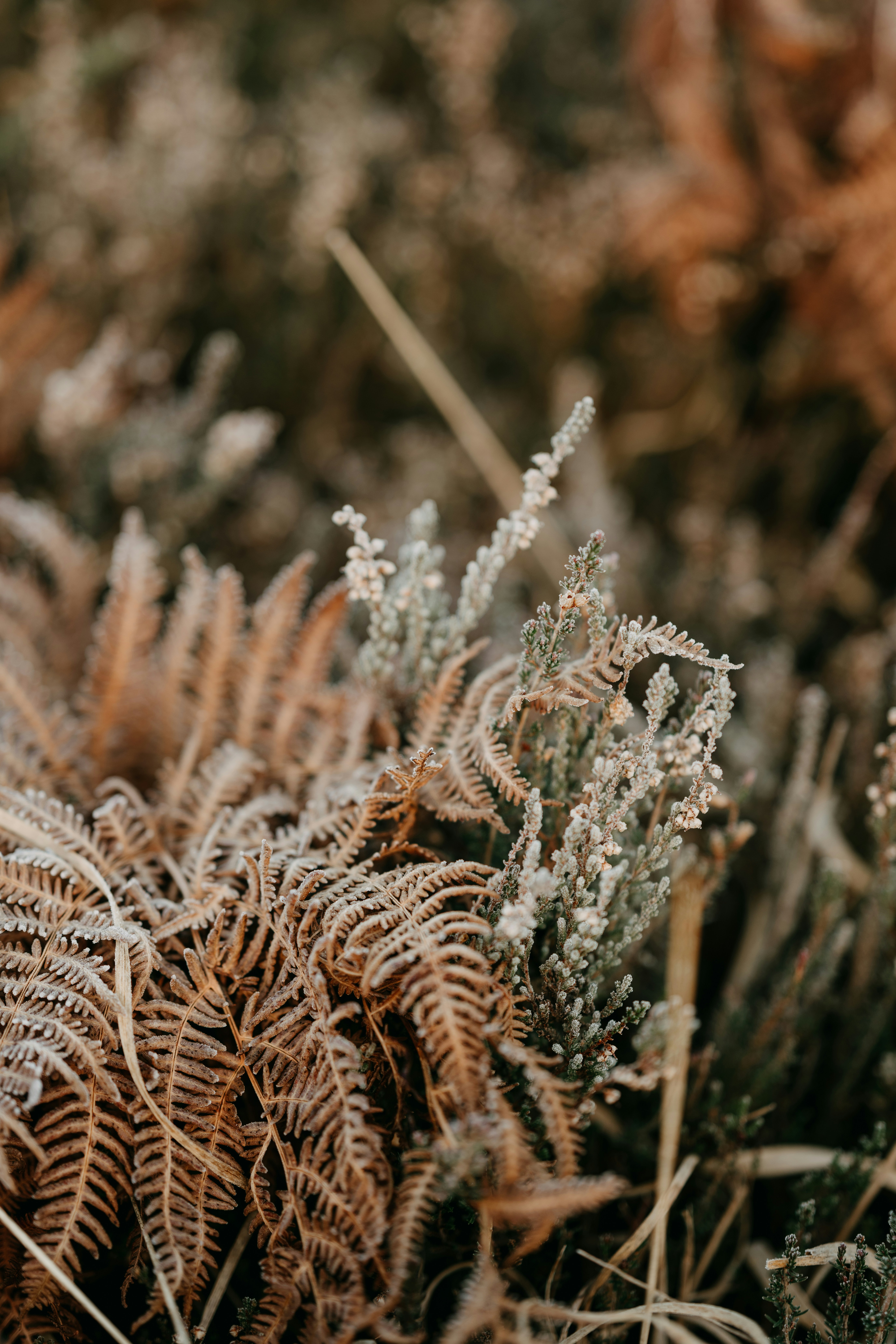 Photo by anniespratt