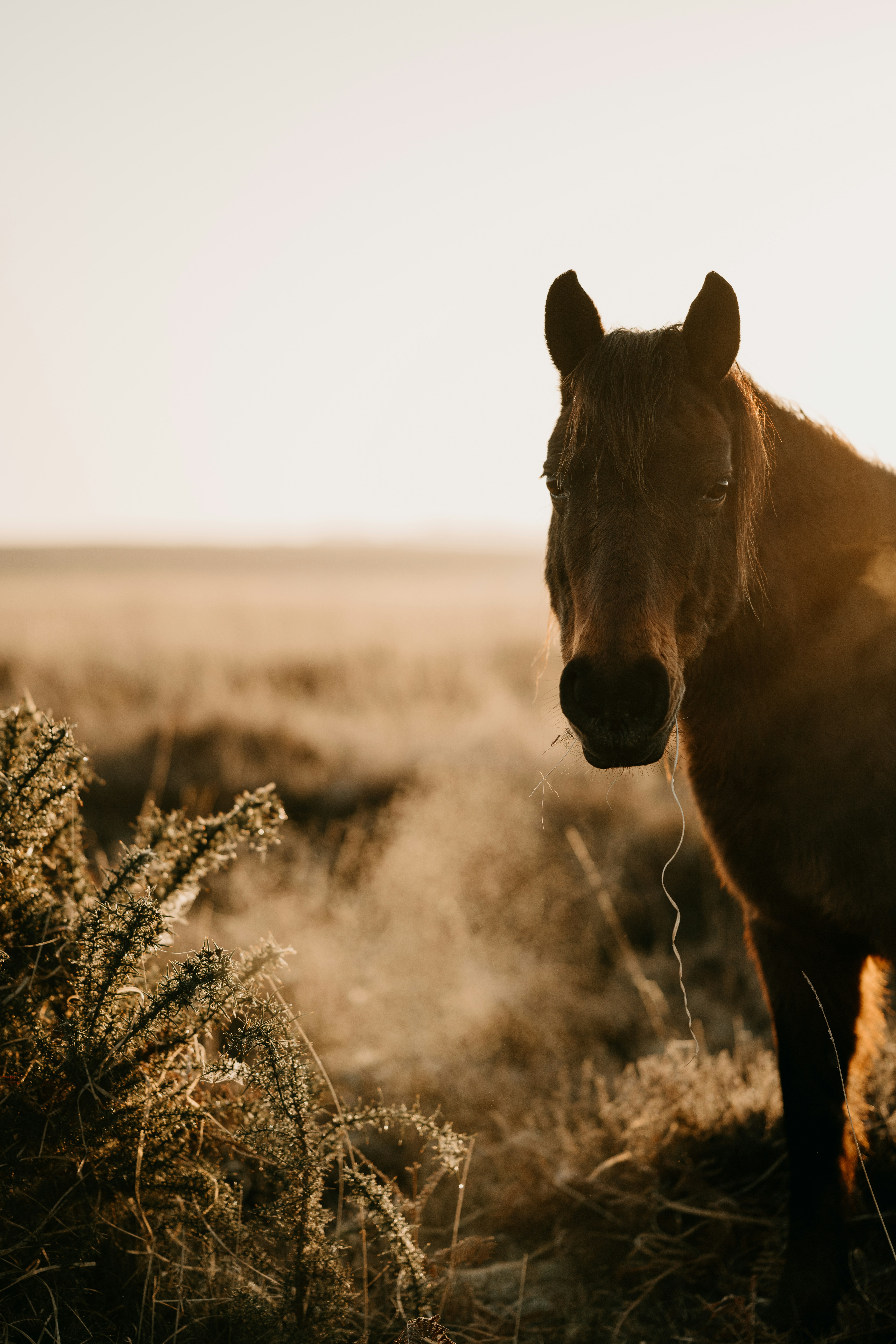 Photo by anniespratt