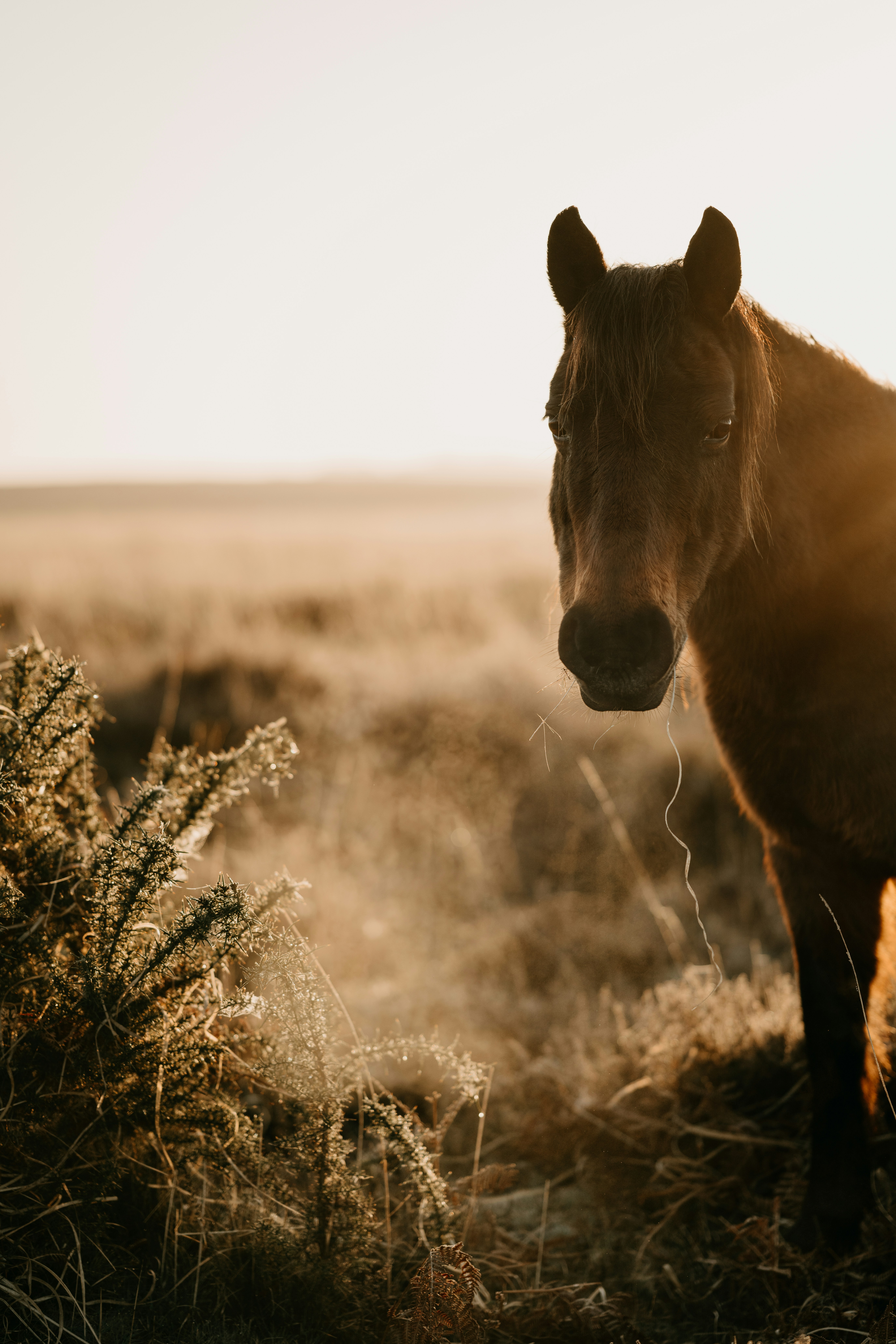 Photo by anniespratt