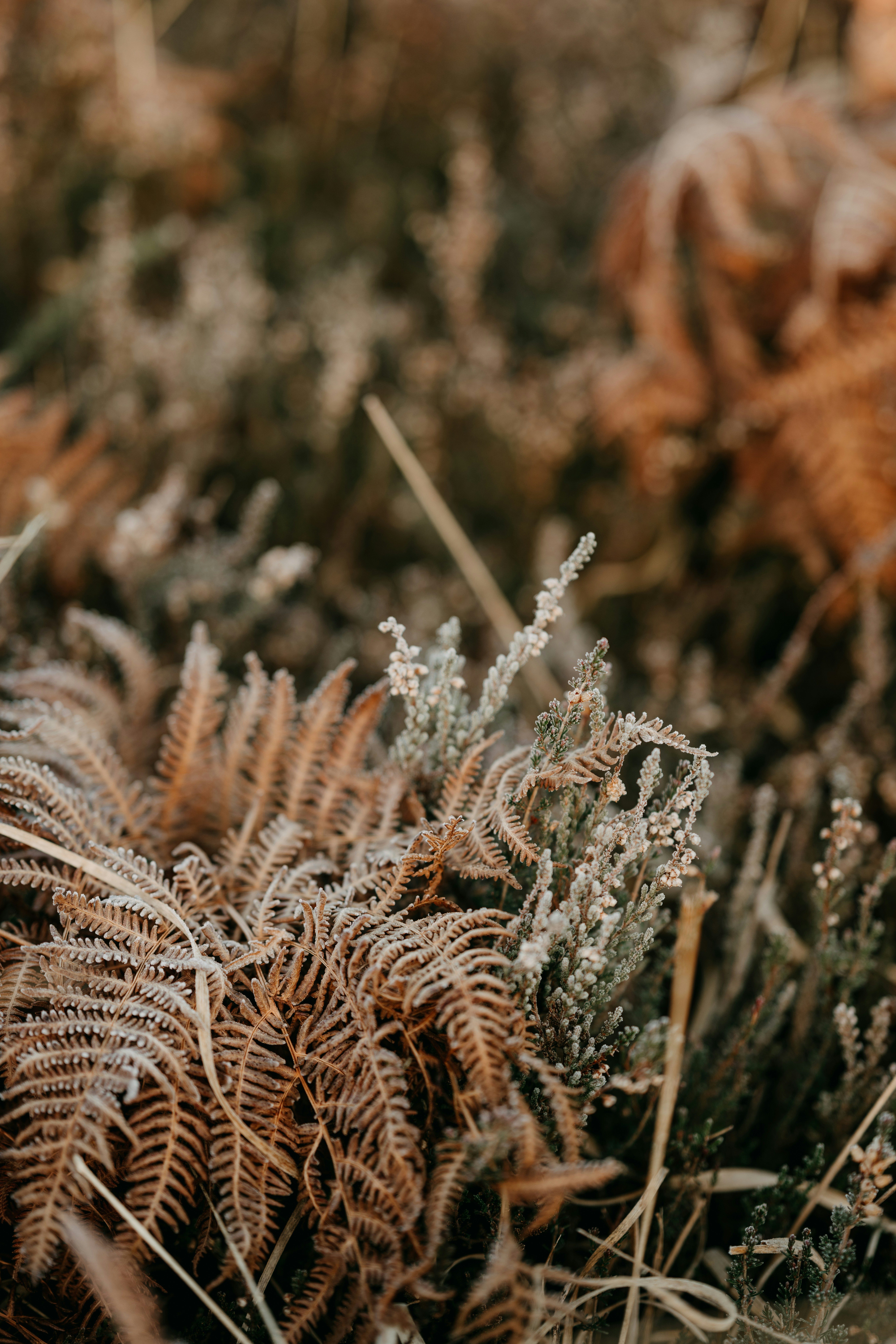 Photo by anniespratt