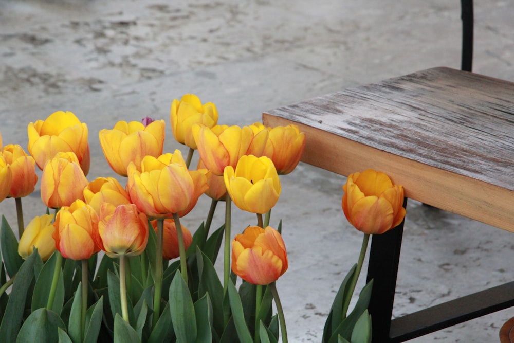 a bunch of yellow and red tulips next to a wooden bench