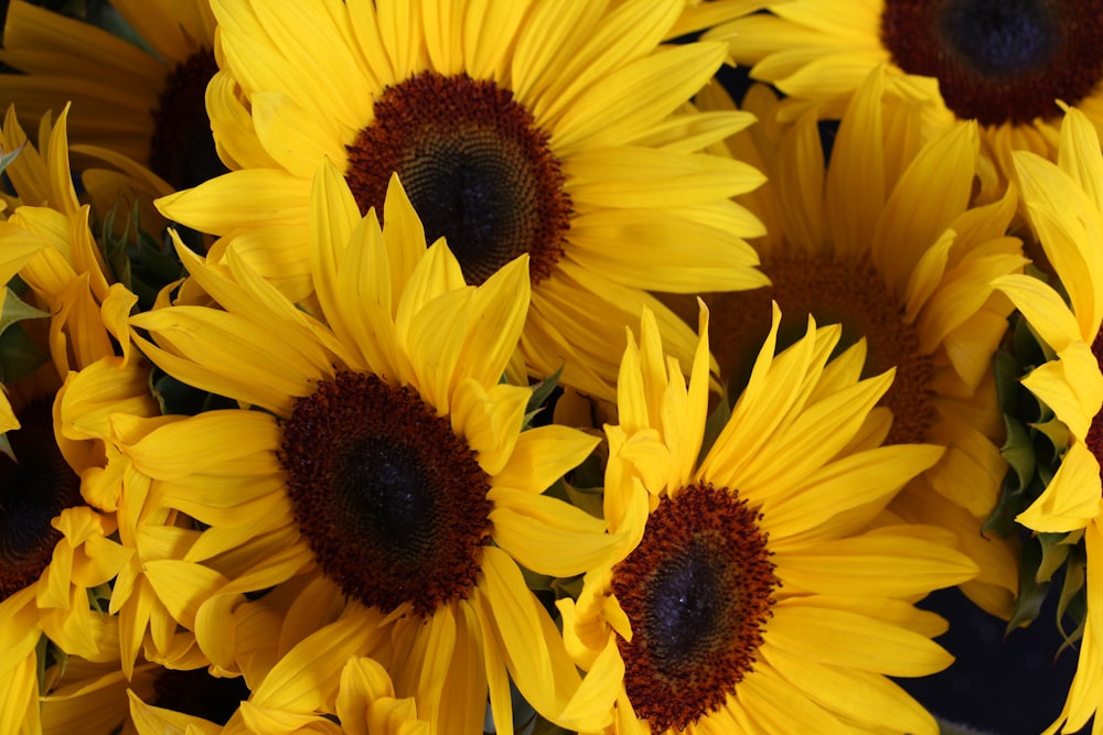 a bunch of yellow sunflowers in a vase