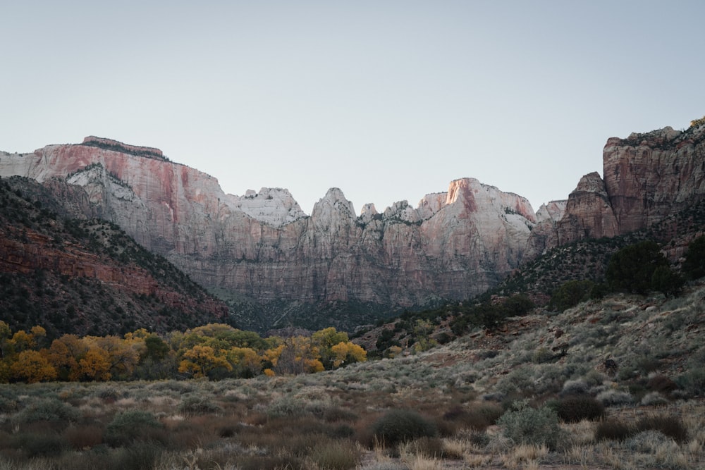 a scenic view of a mountain range with trees in the foreground