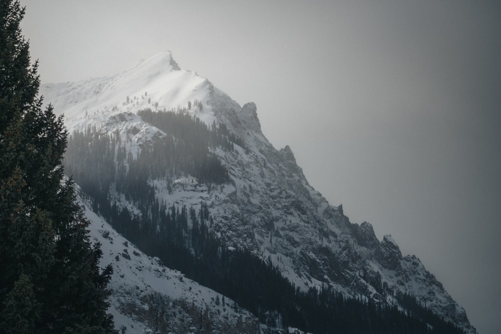 a mountain covered in snow and surrounded by trees