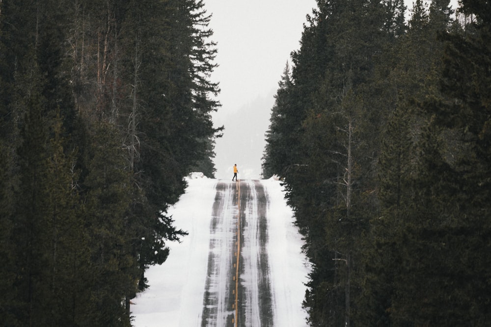 a person standing in the middle of a road surrounded by trees