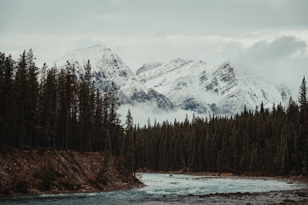 a river running through a forest filled with snow covered mountains