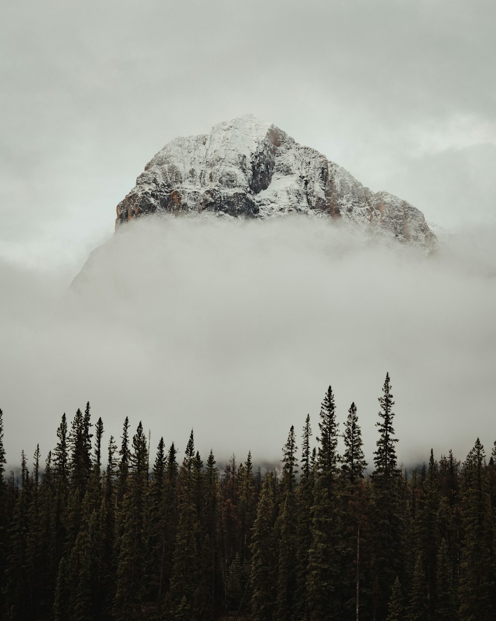 a mountain covered in snow surrounded by trees