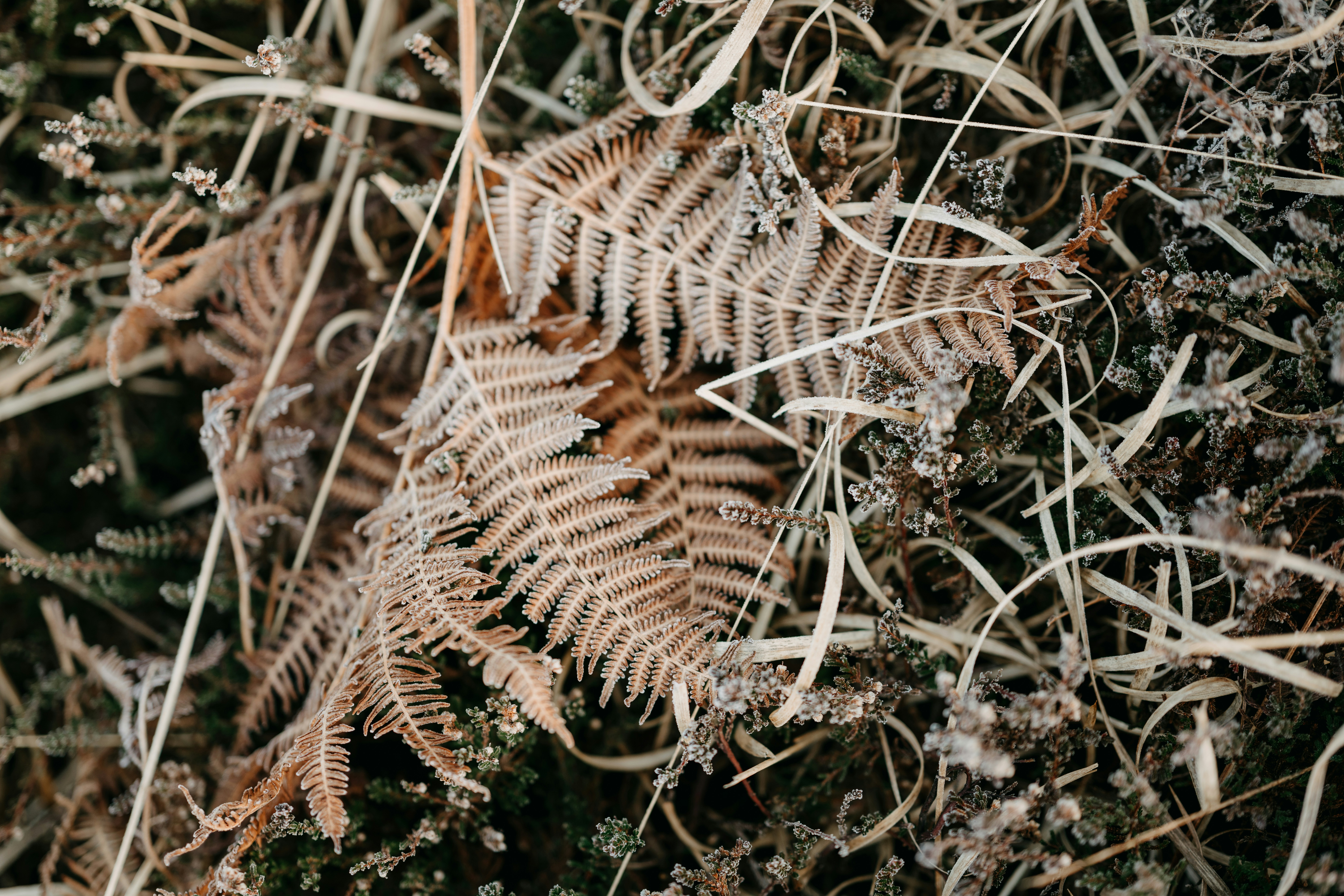 Photo by anniespratt