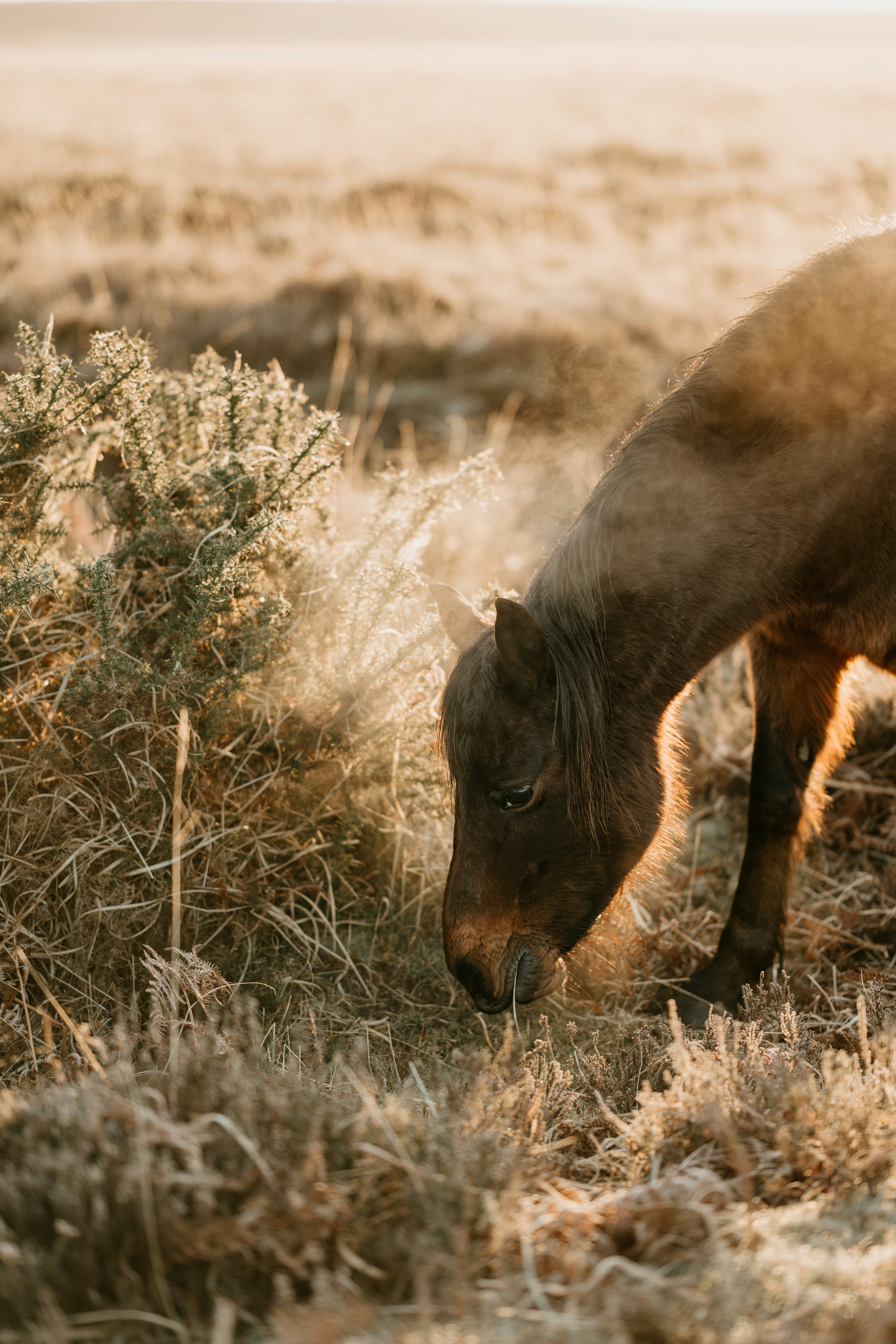 Photo by anniespratt