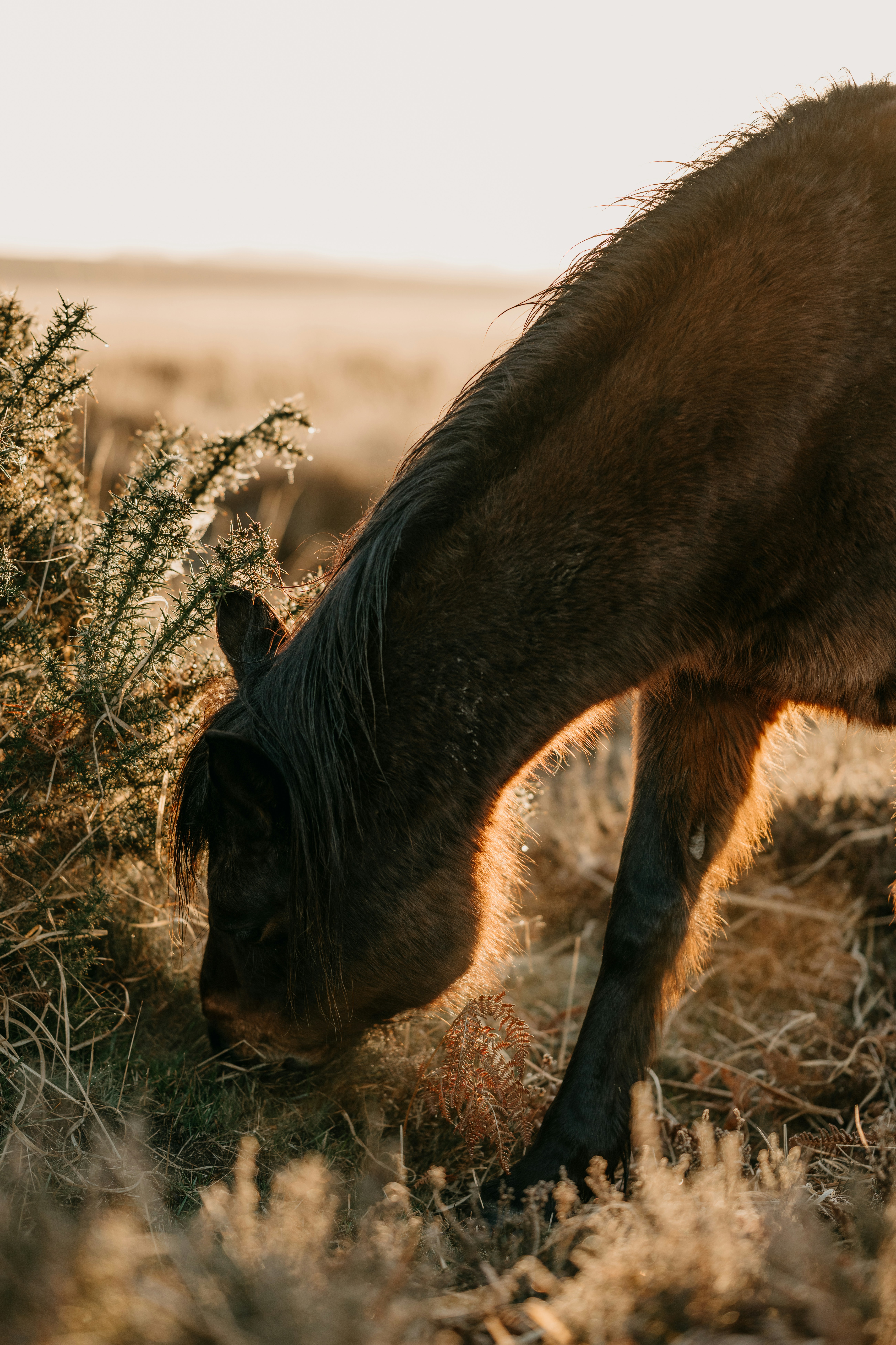 Photo by anniespratt