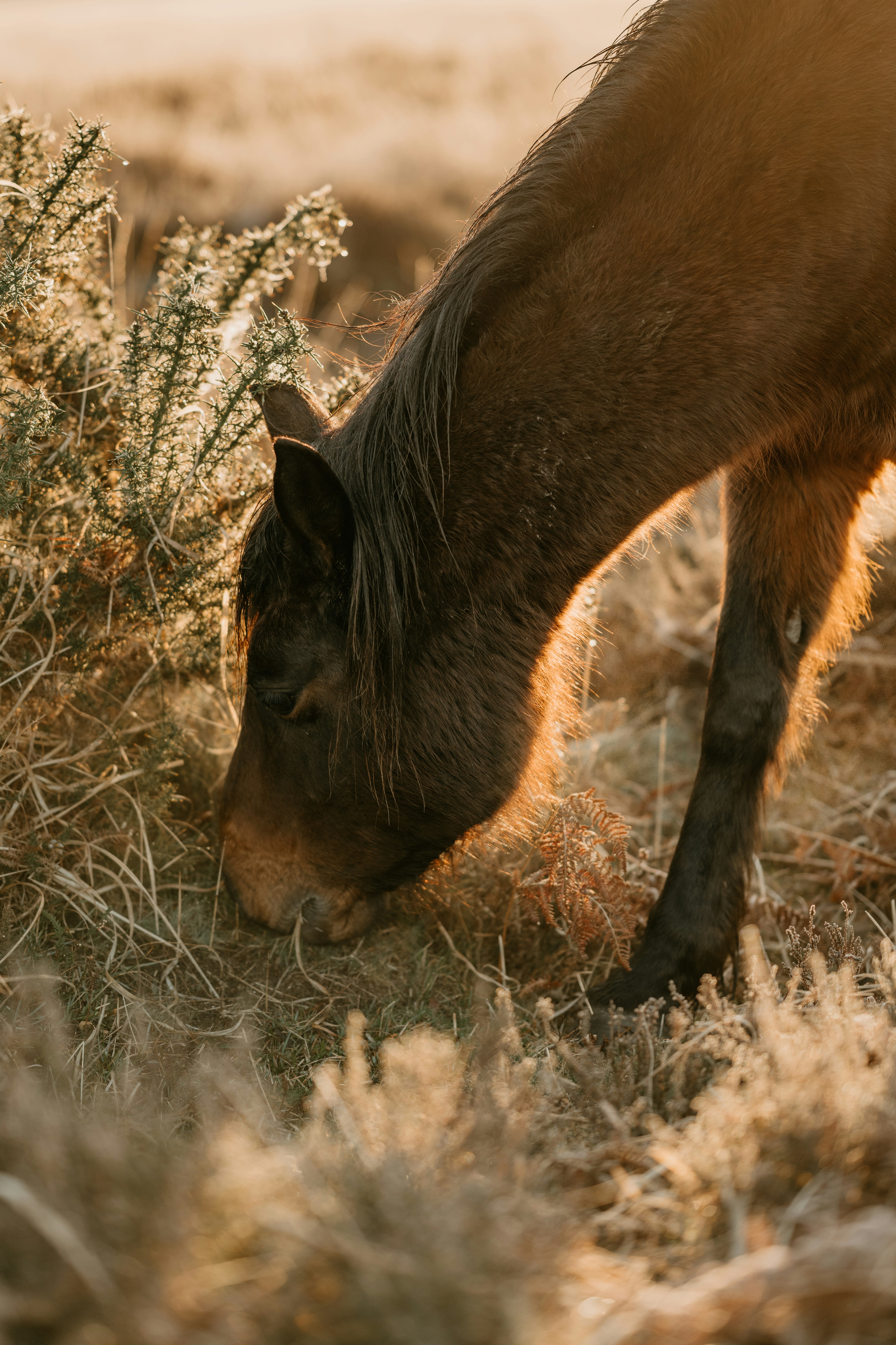 Photo by anniespratt