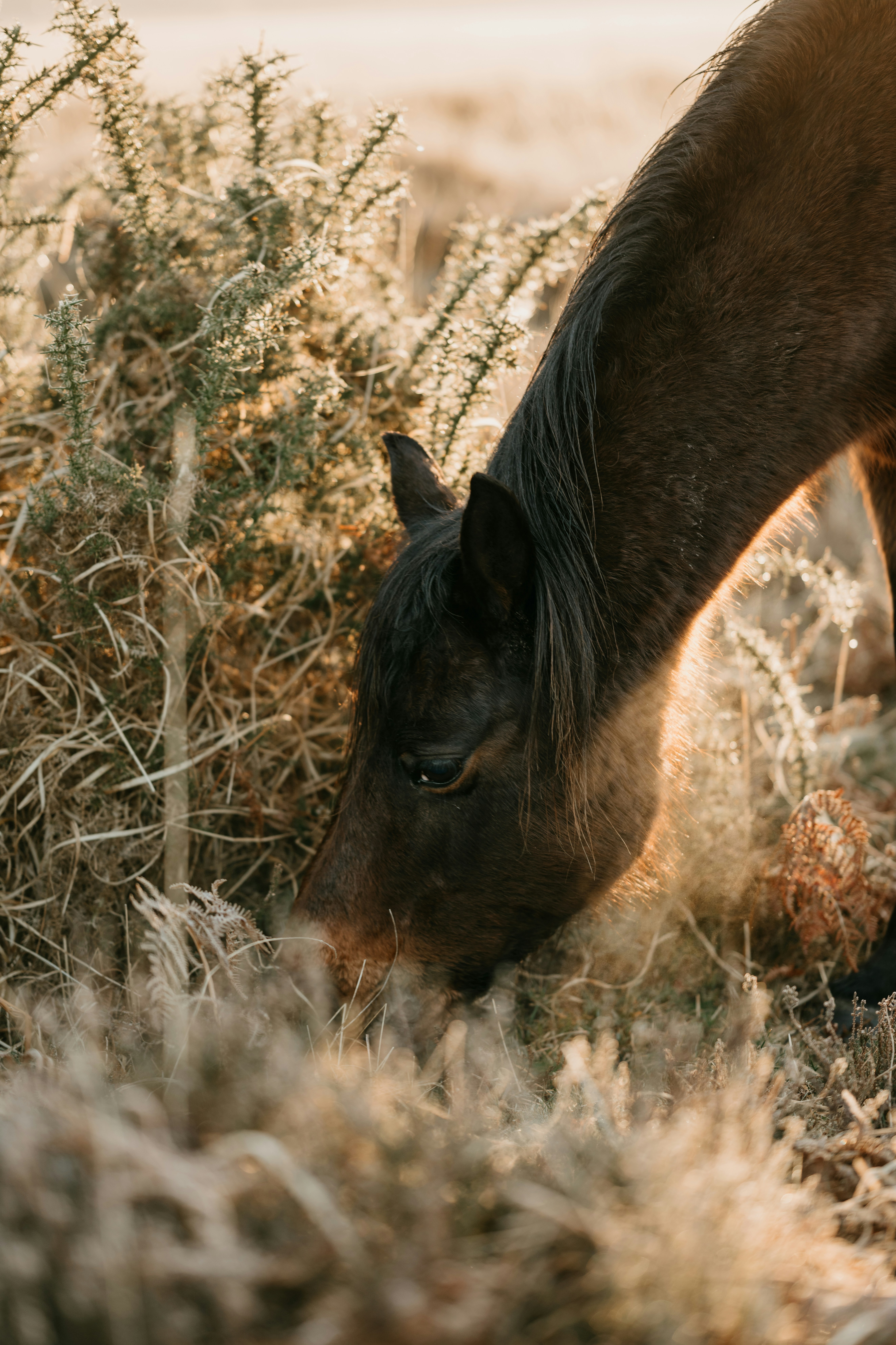 Photo by anniespratt