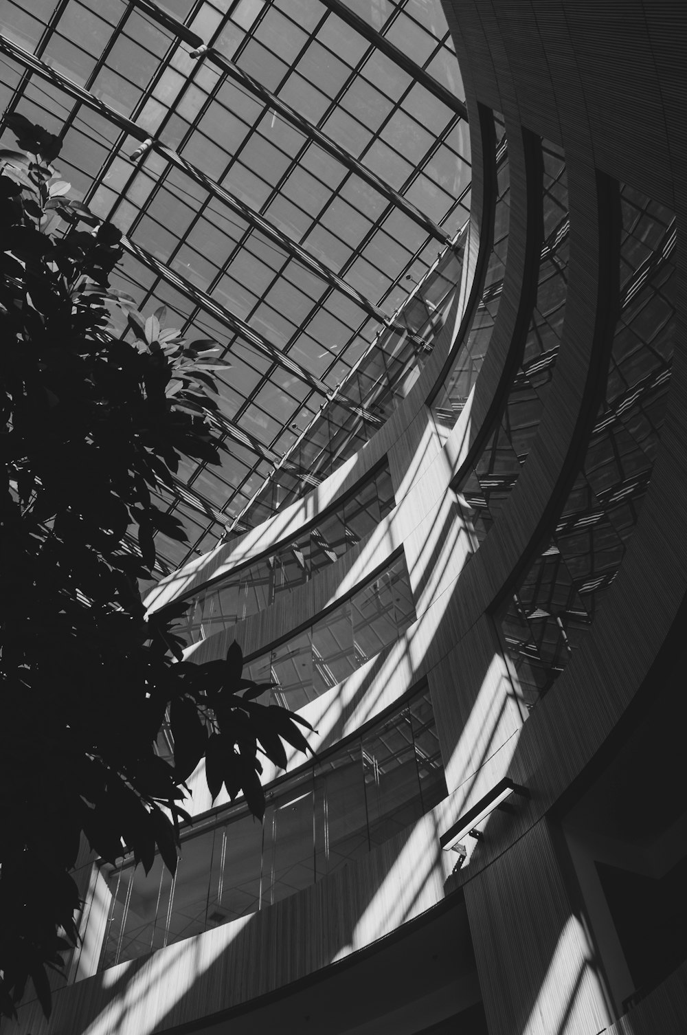 the inside of a building with a glass roof