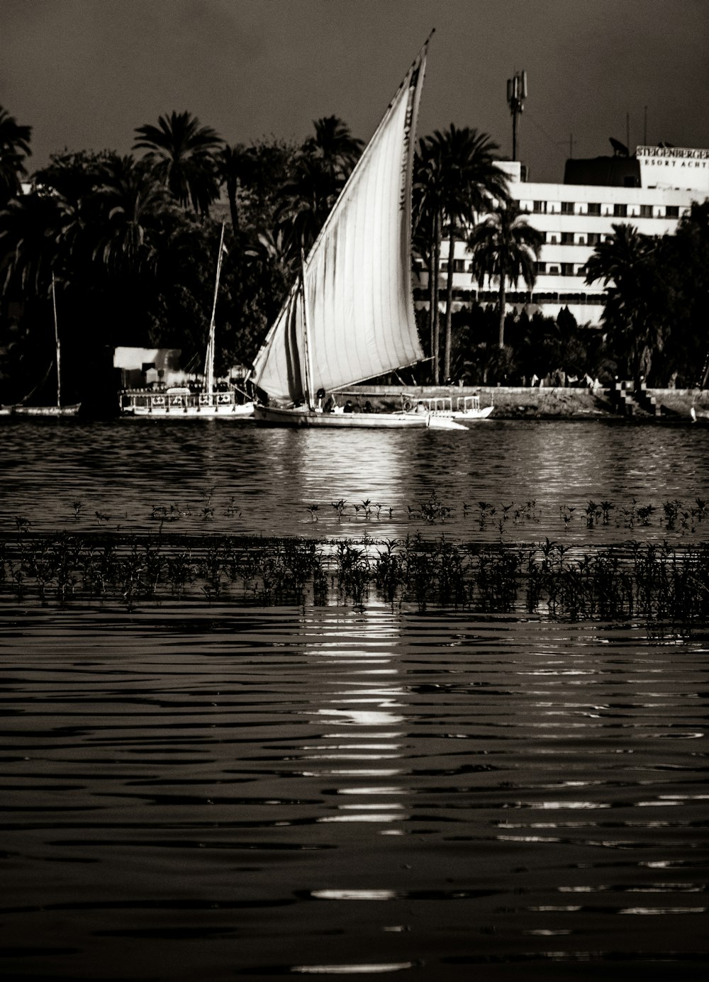 a black and white photo of a sailboat on the water