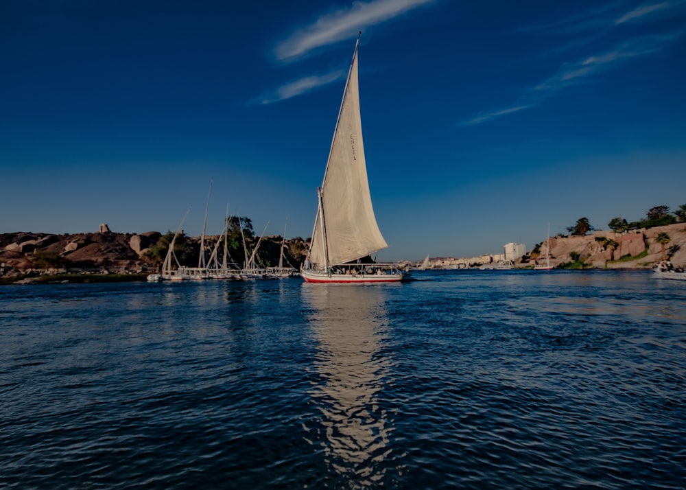 a sailboat on a body of water with a city in the background