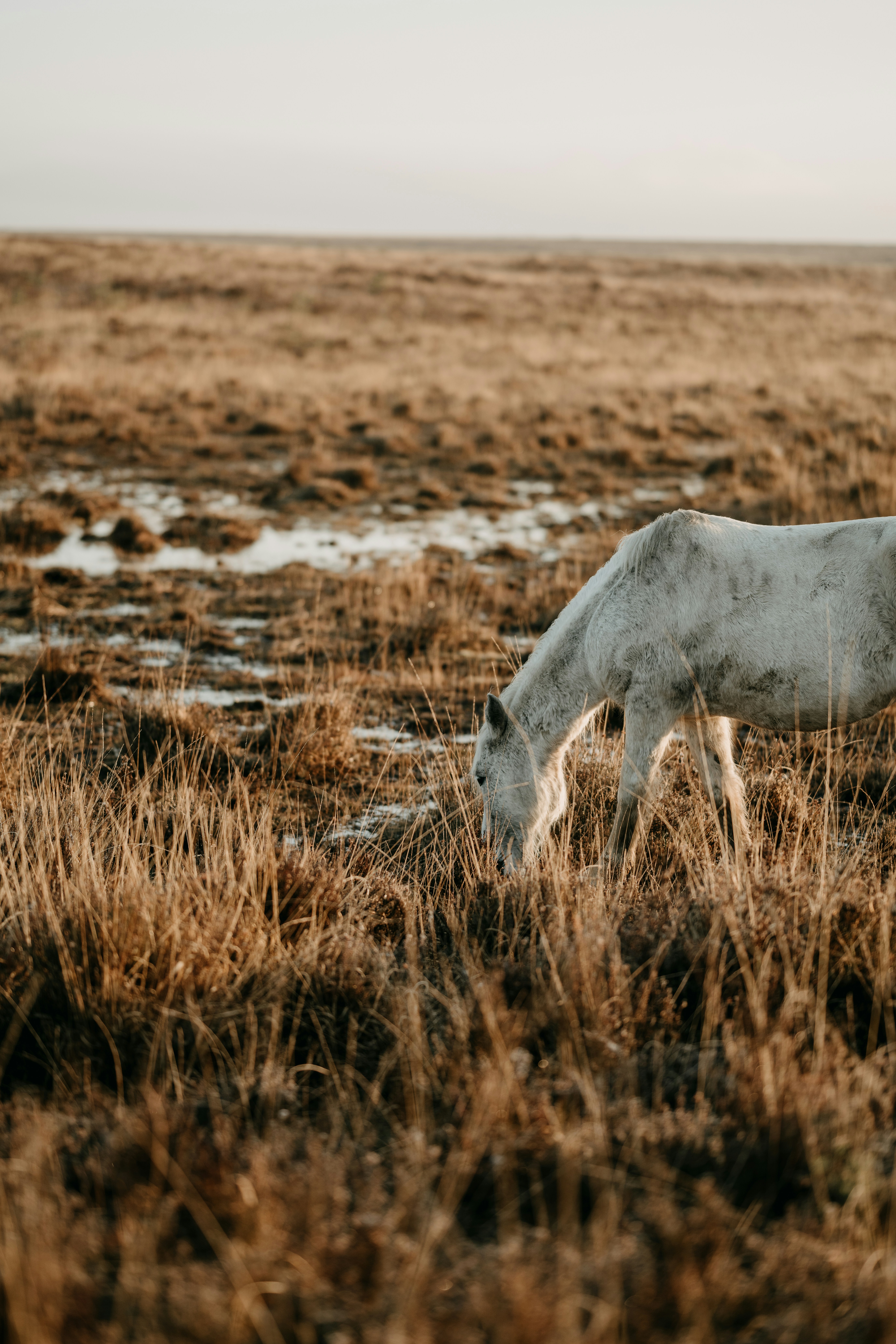 Photo by anniespratt