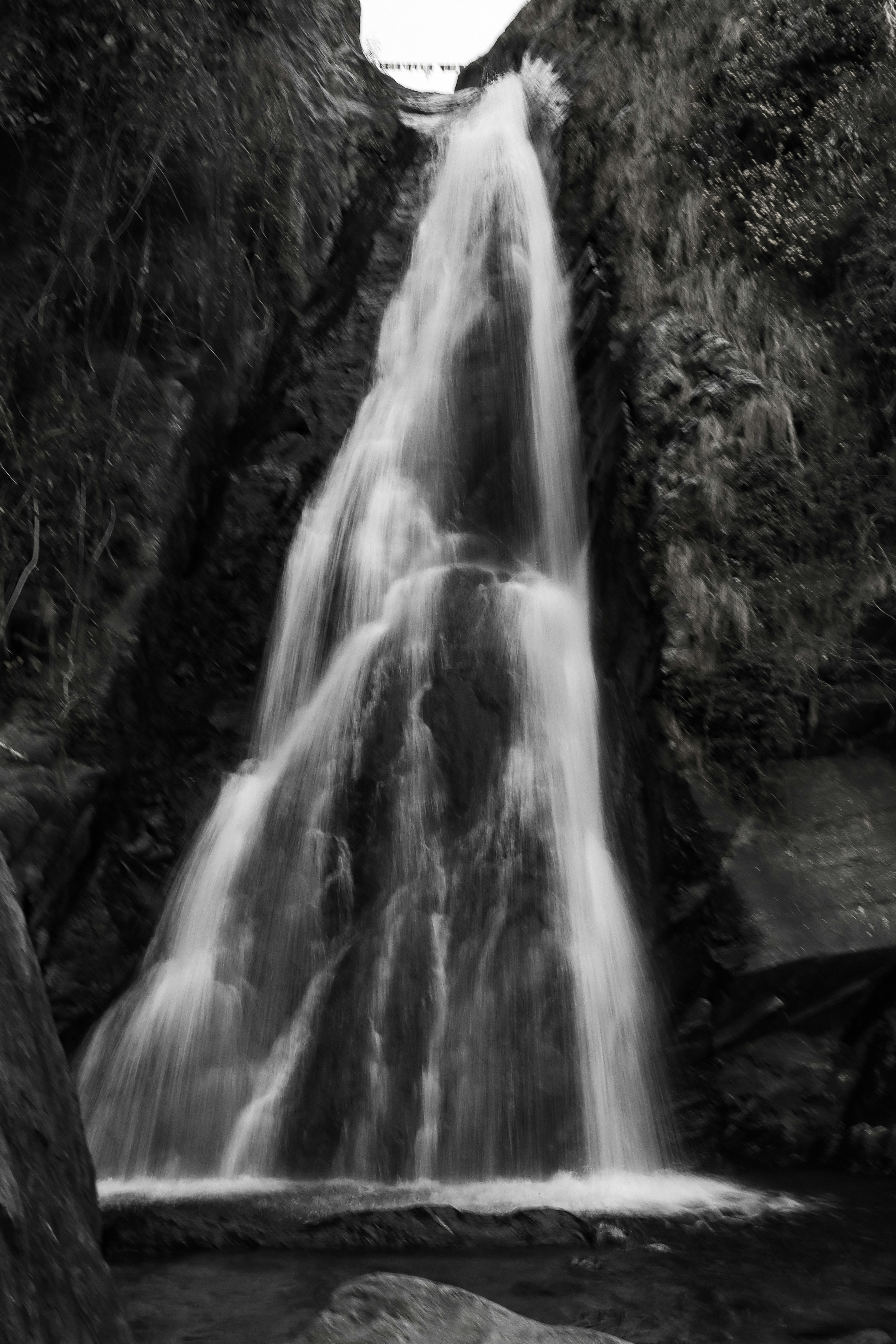 Photo by purohitphotographer