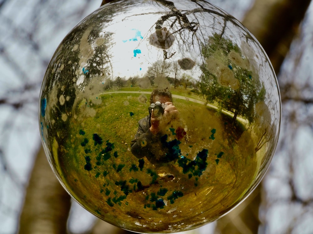 a mirror ball hanging from a tree in a park