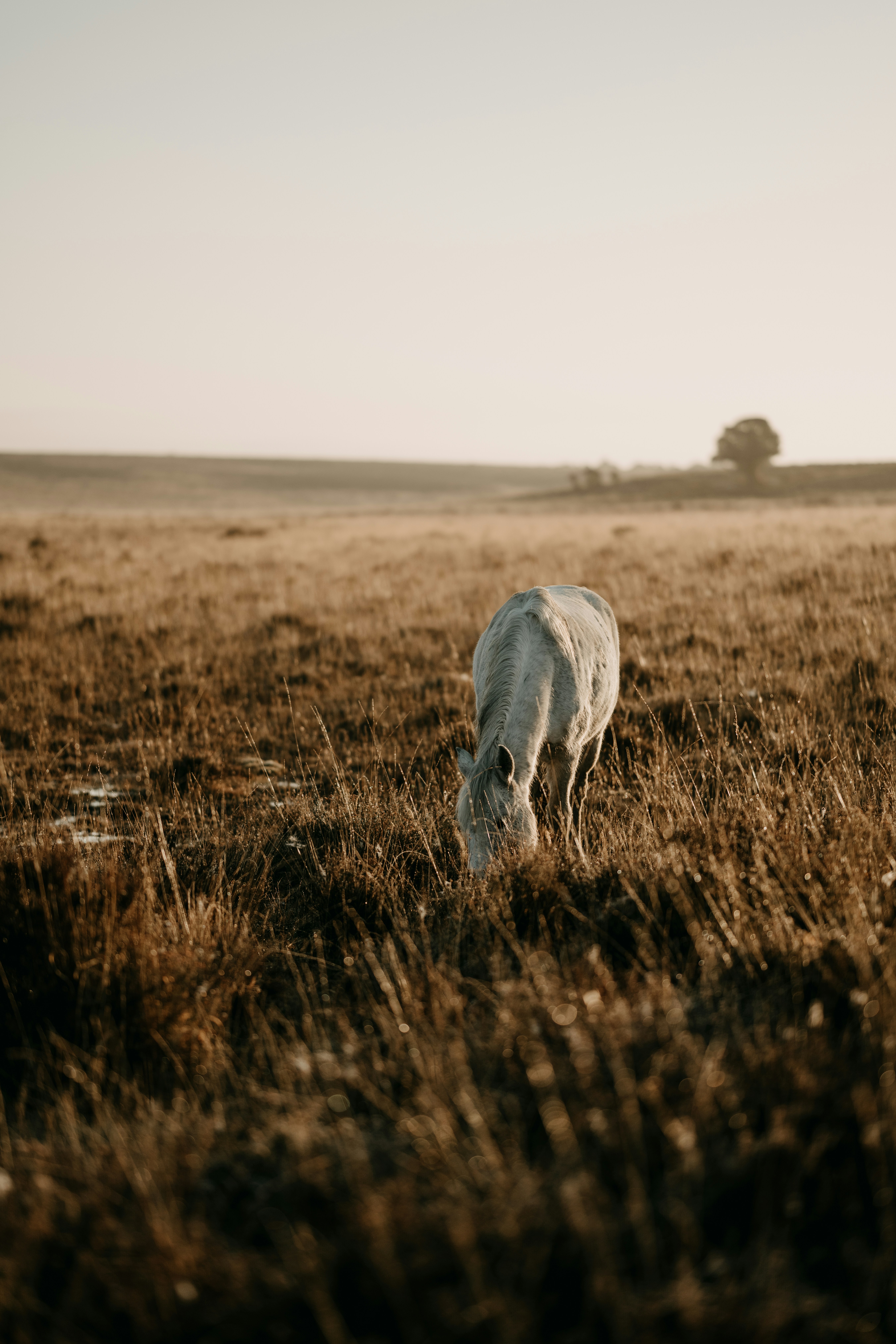 Photo by anniespratt