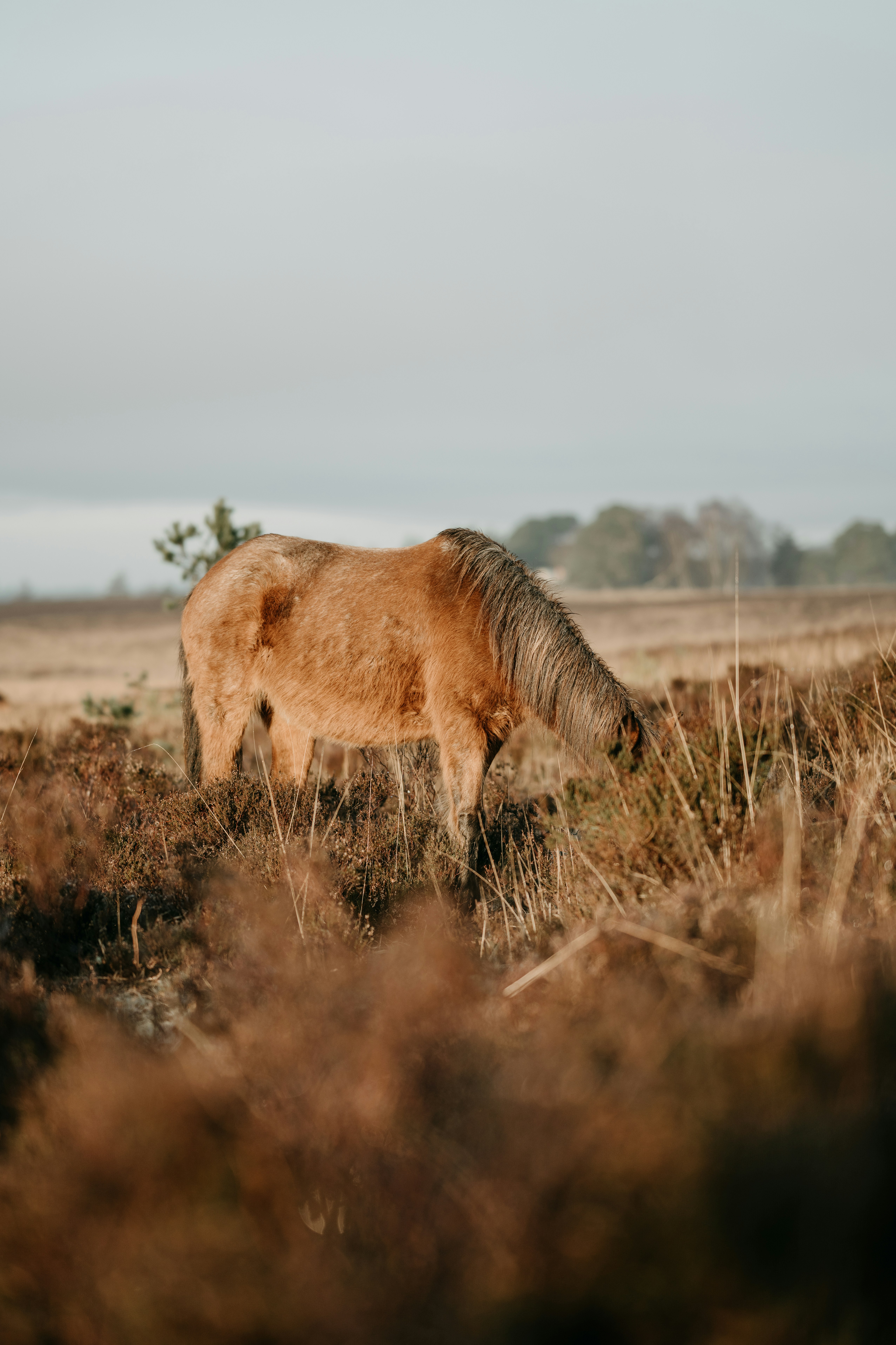 Photo by anniespratt