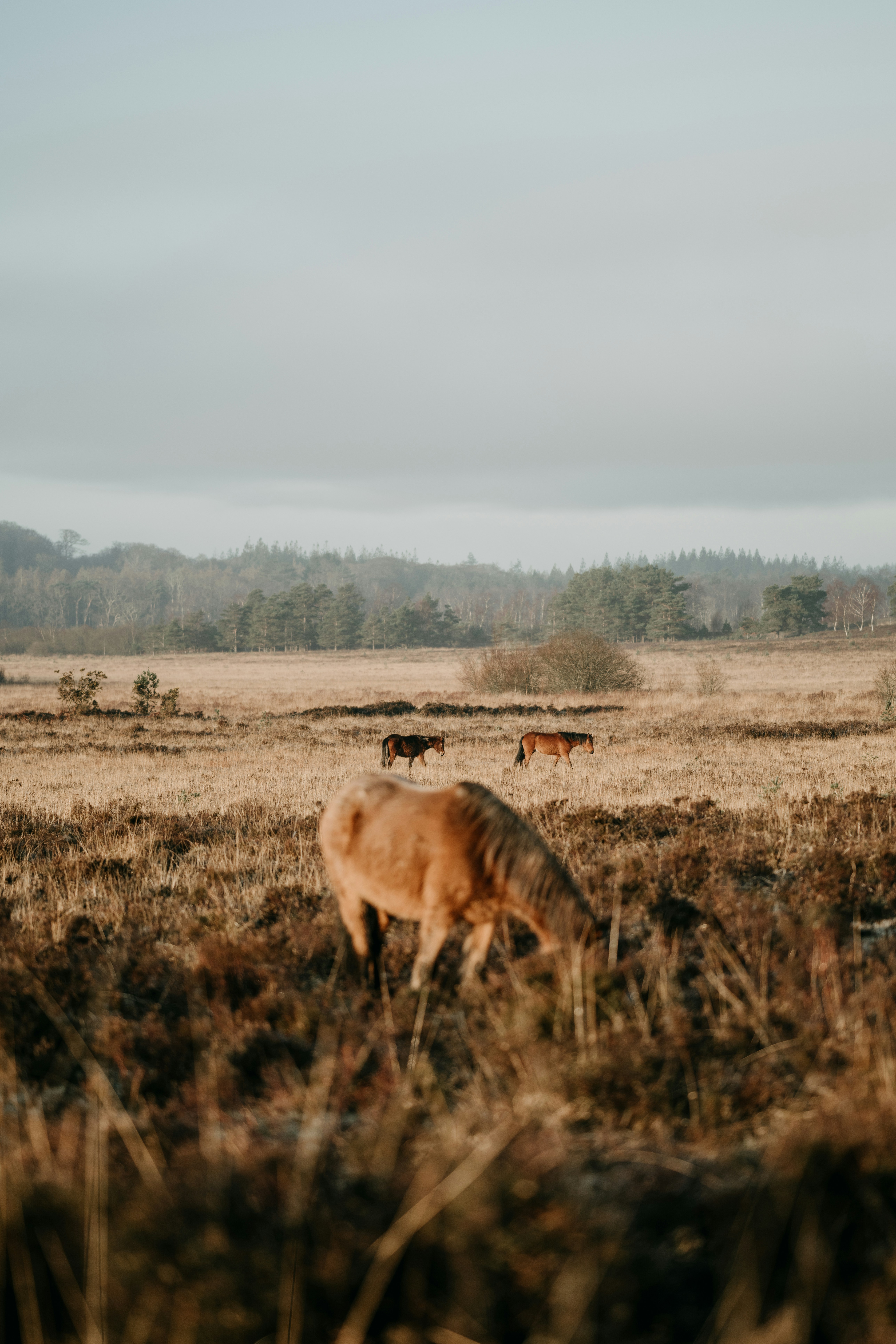 Photo by anniespratt