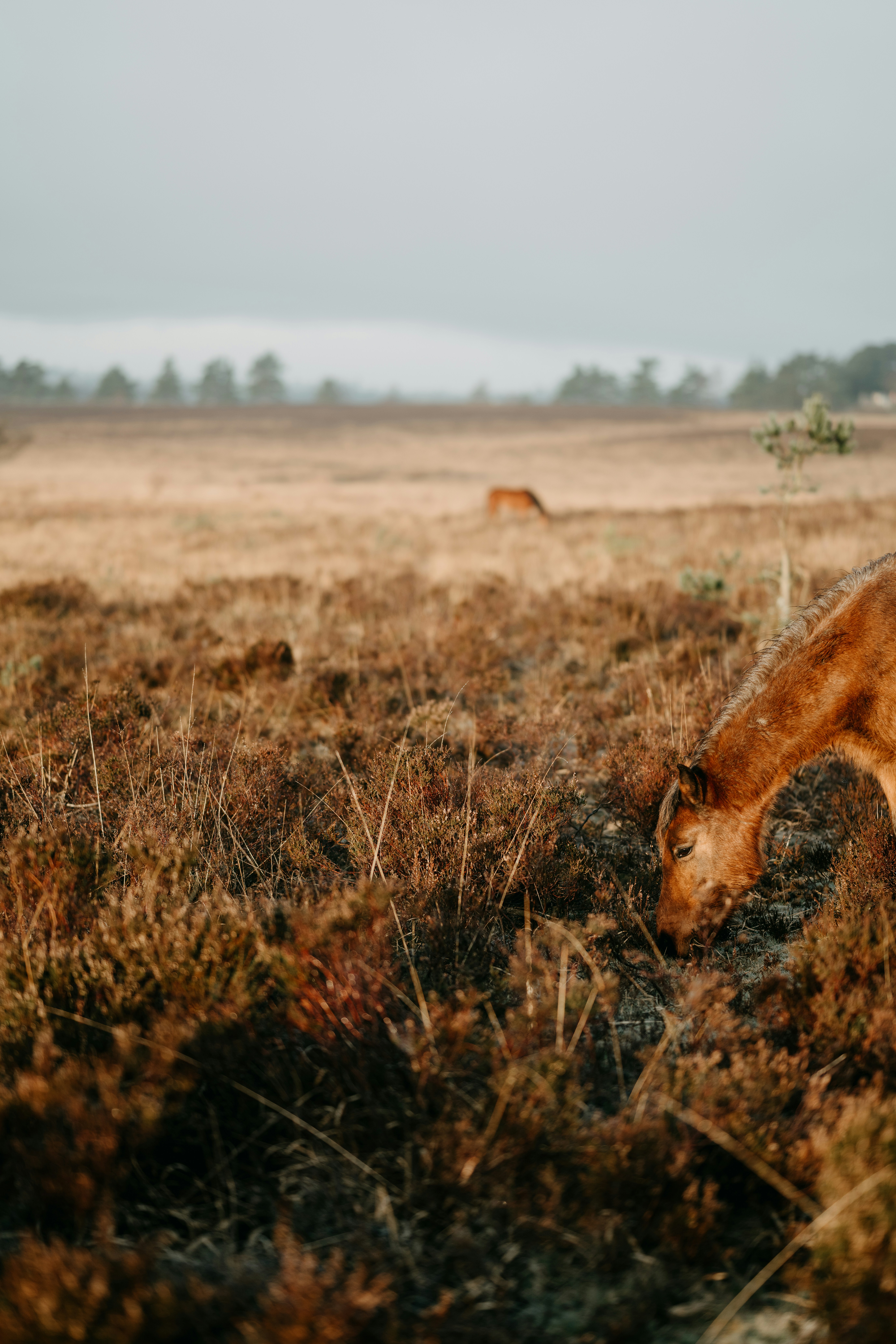 Photo by anniespratt