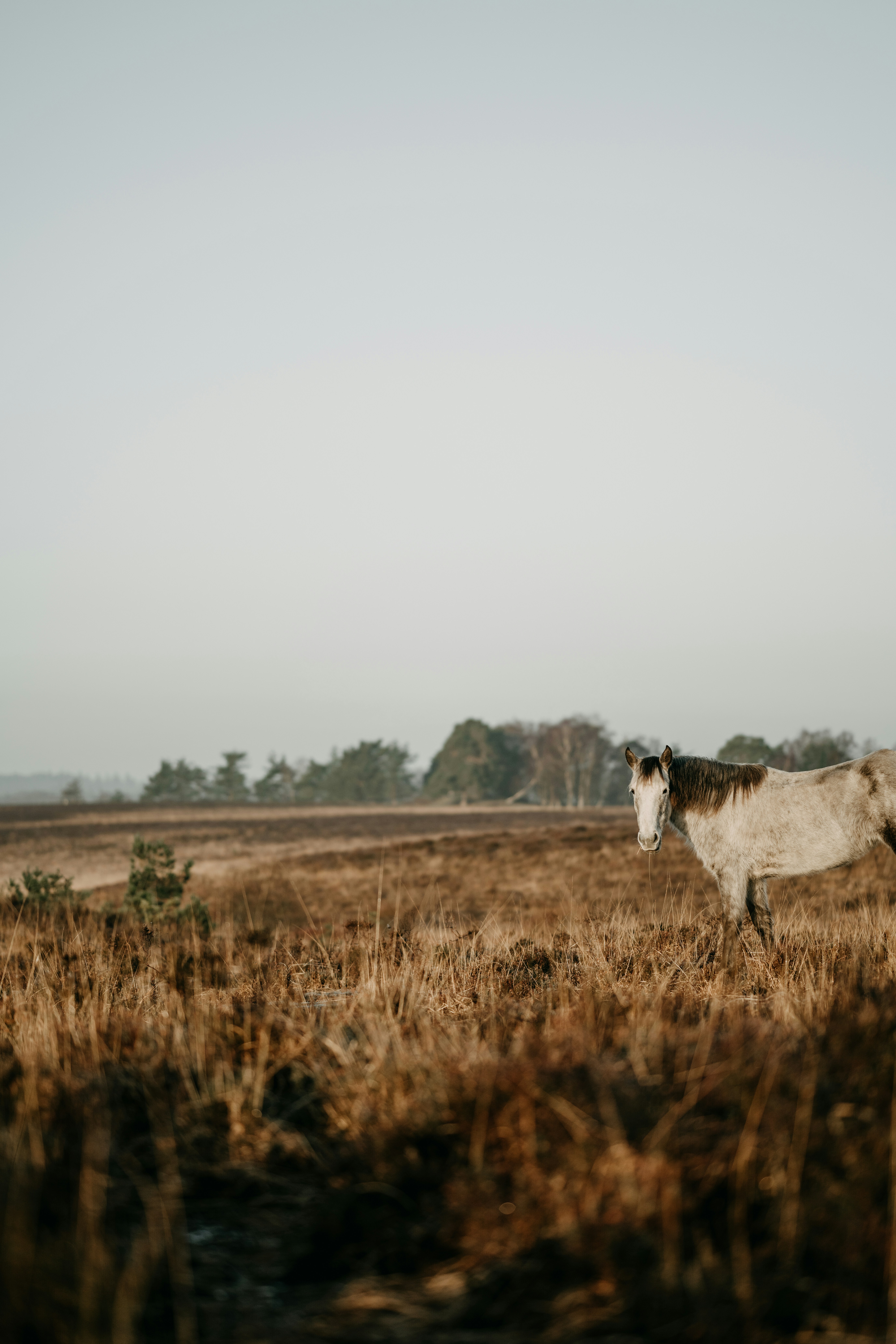 Photo by anniespratt