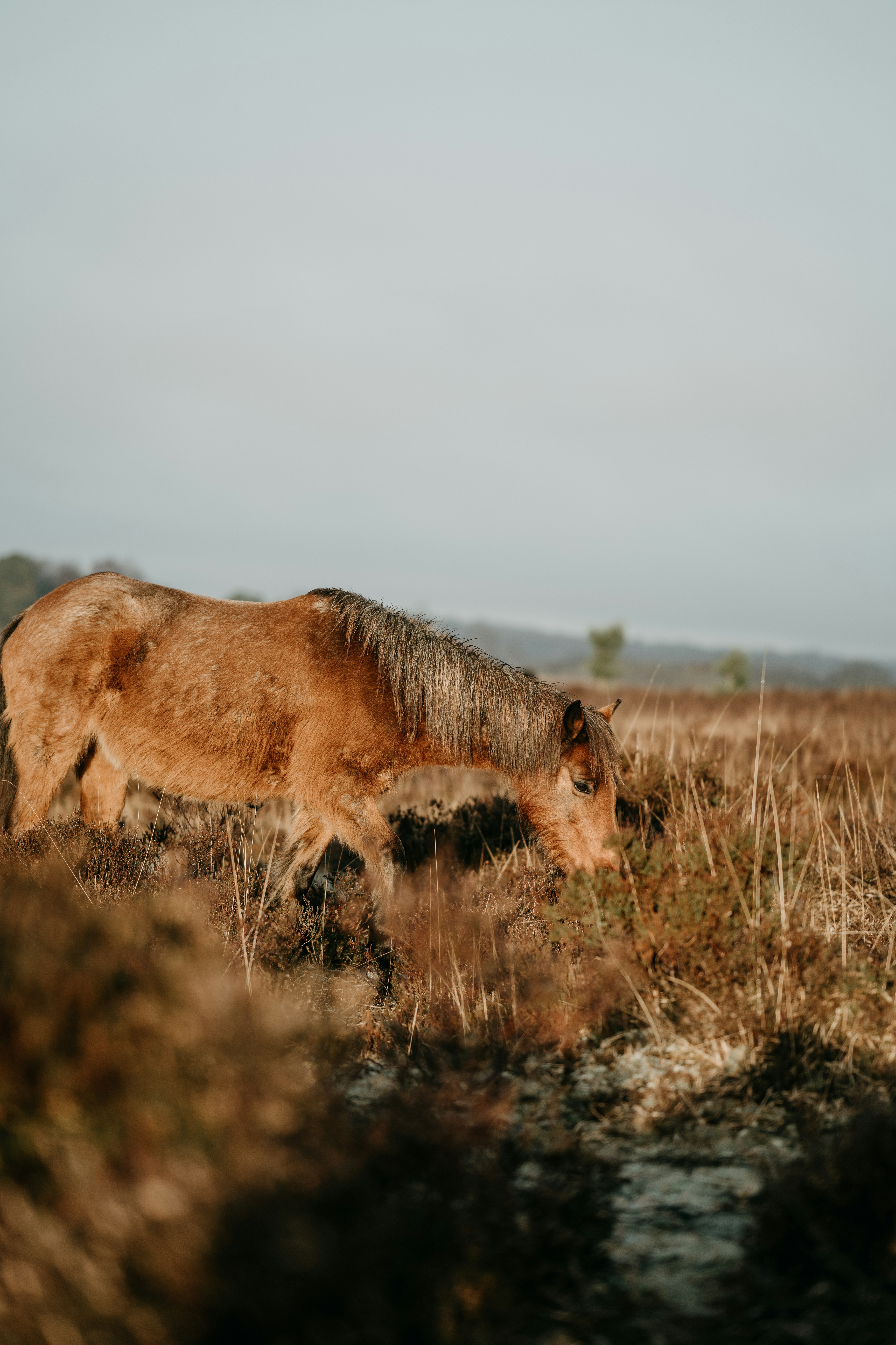 Photo by anniespratt