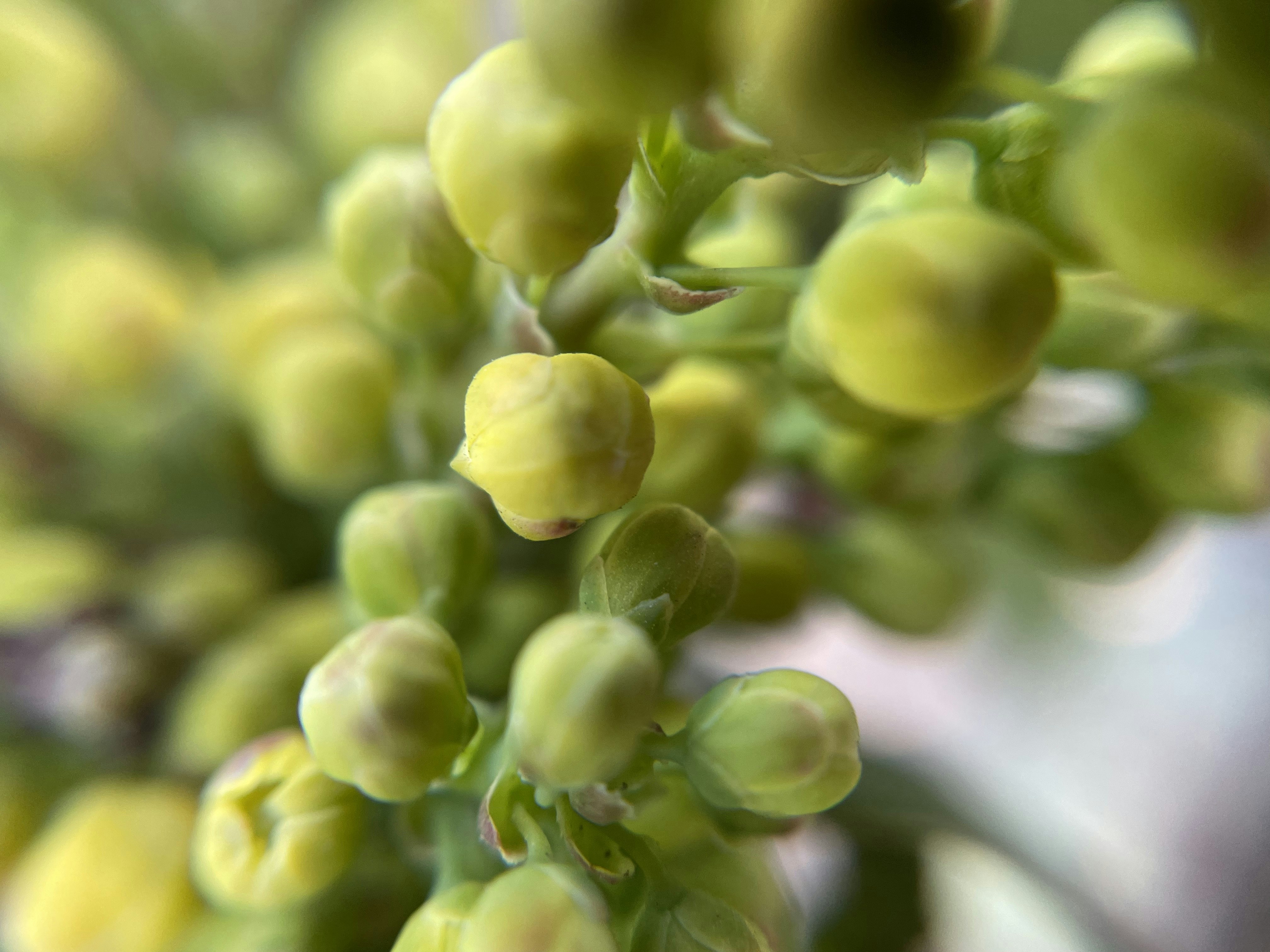 Photo by polina_postolnyk