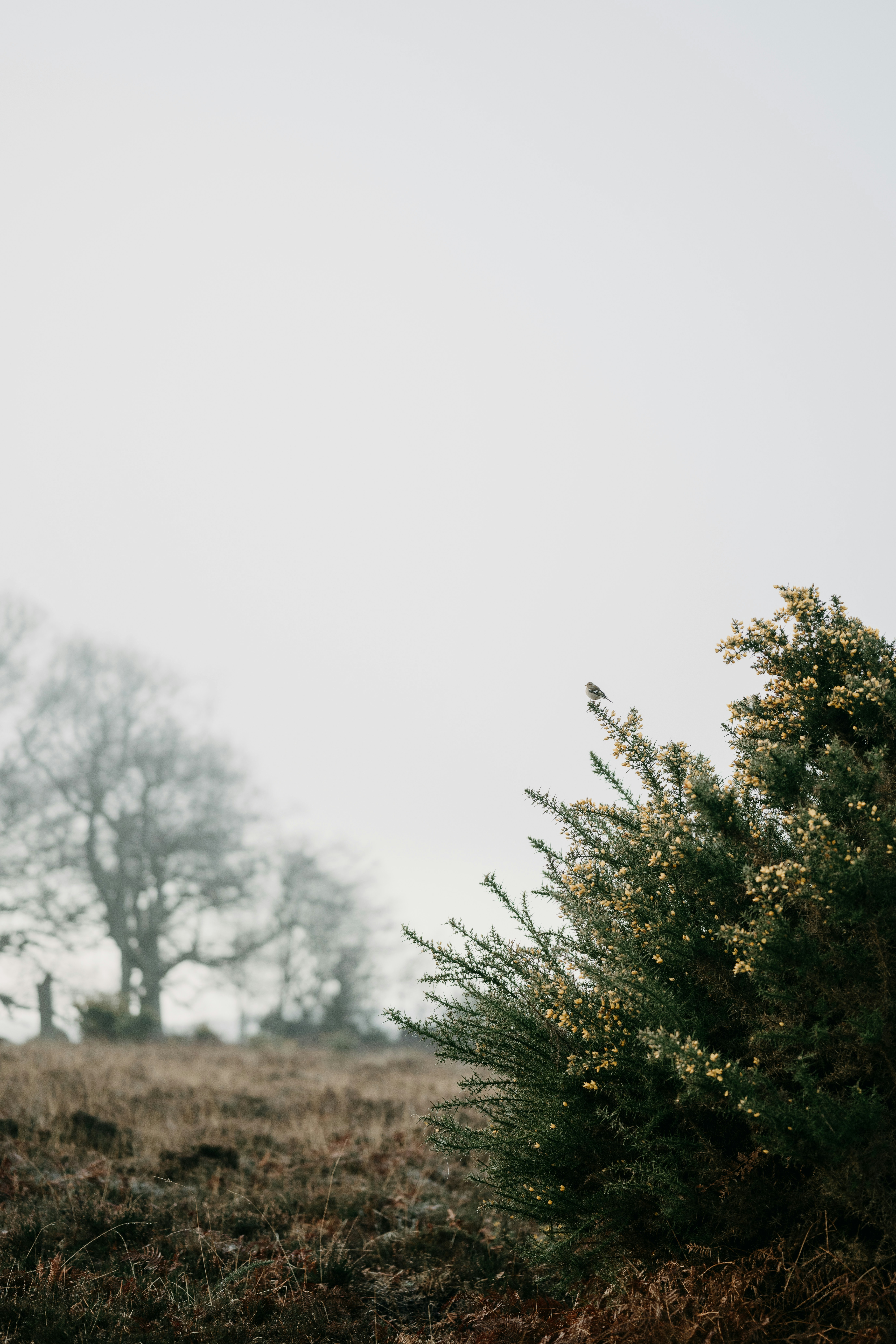 Photo by anniespratt