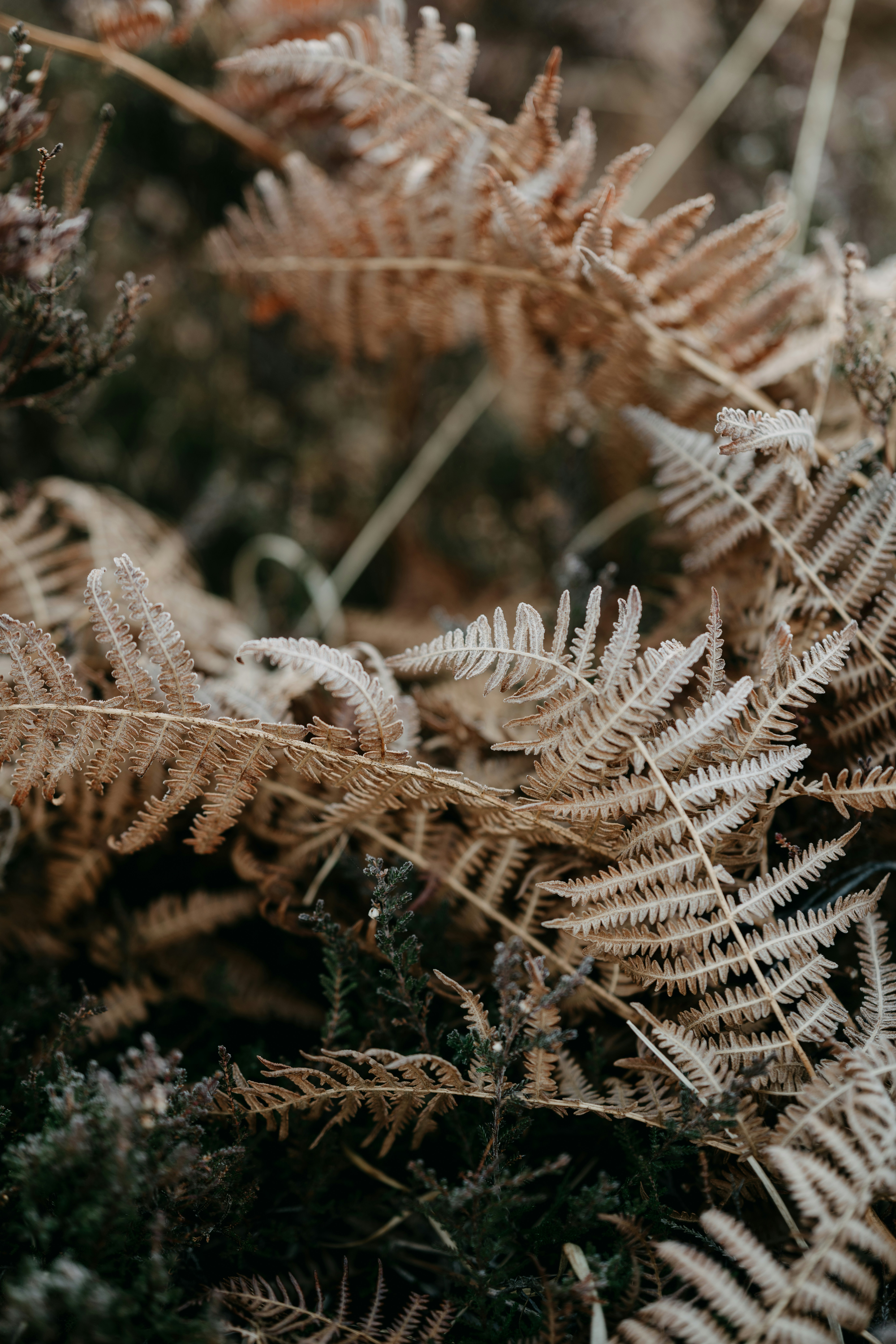 Photo by anniespratt