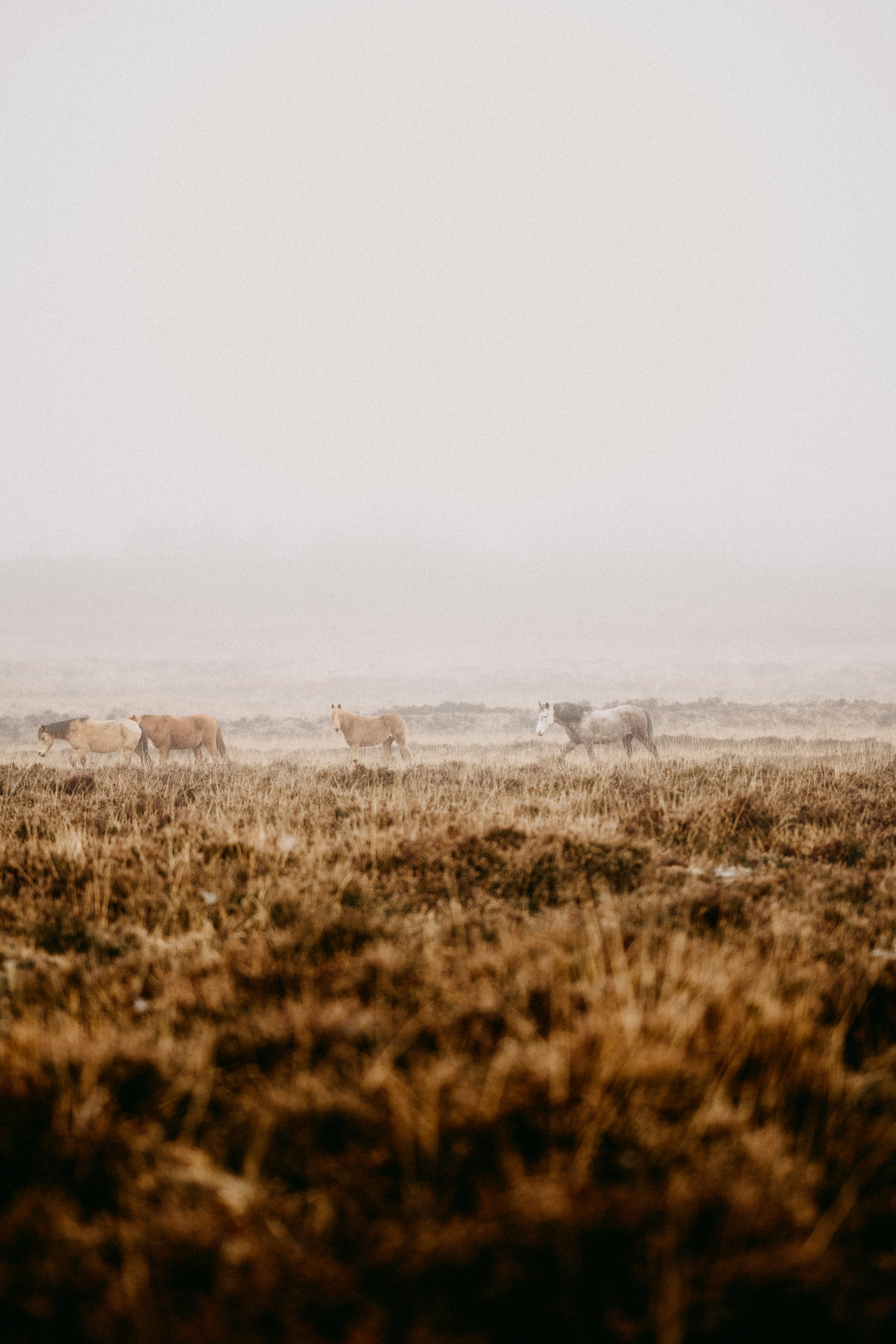 Photo by anniespratt