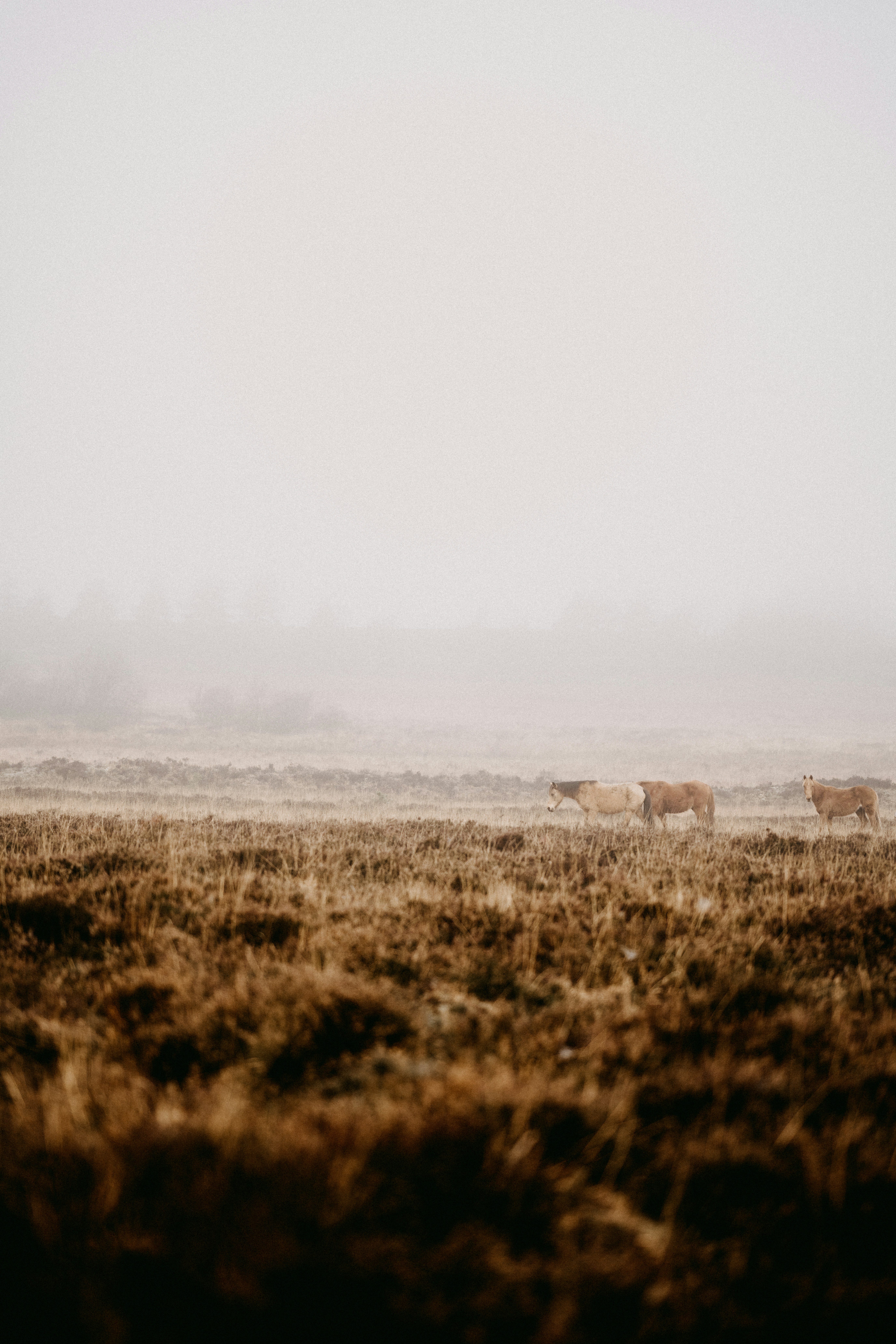 Photo by anniespratt