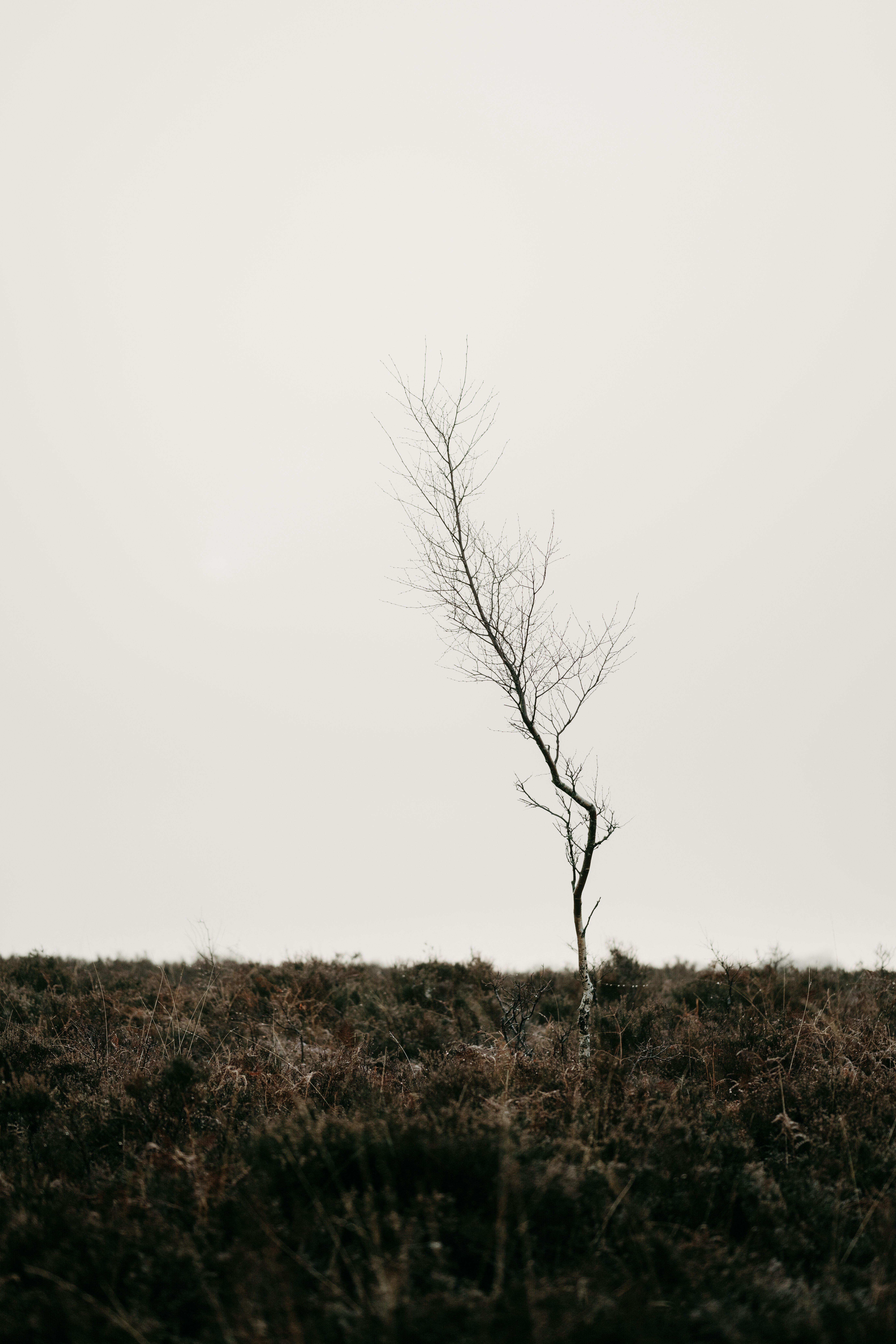 Photo by anniespratt